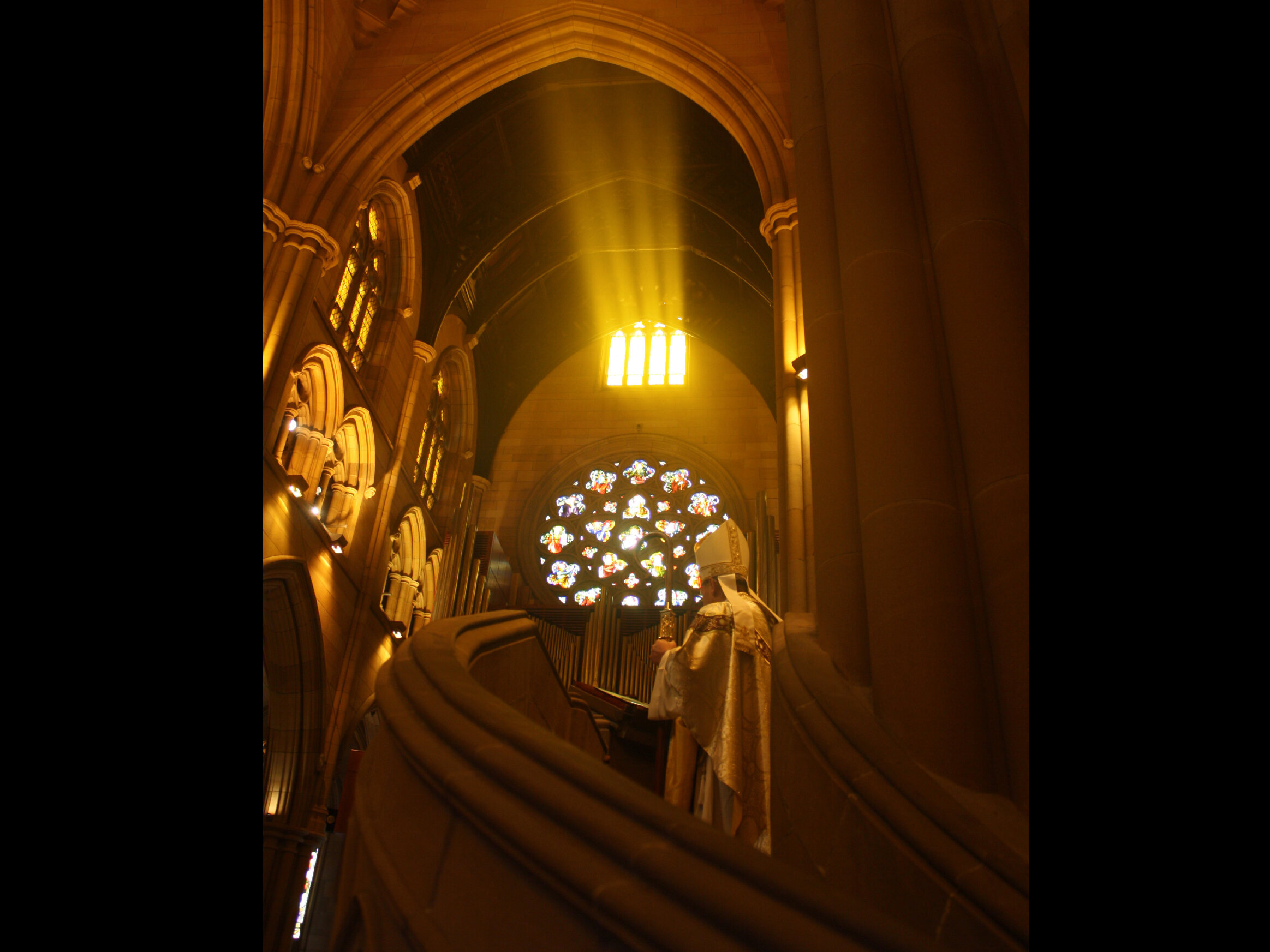 Drina Turston_creative portfolio_ipad25.jpg