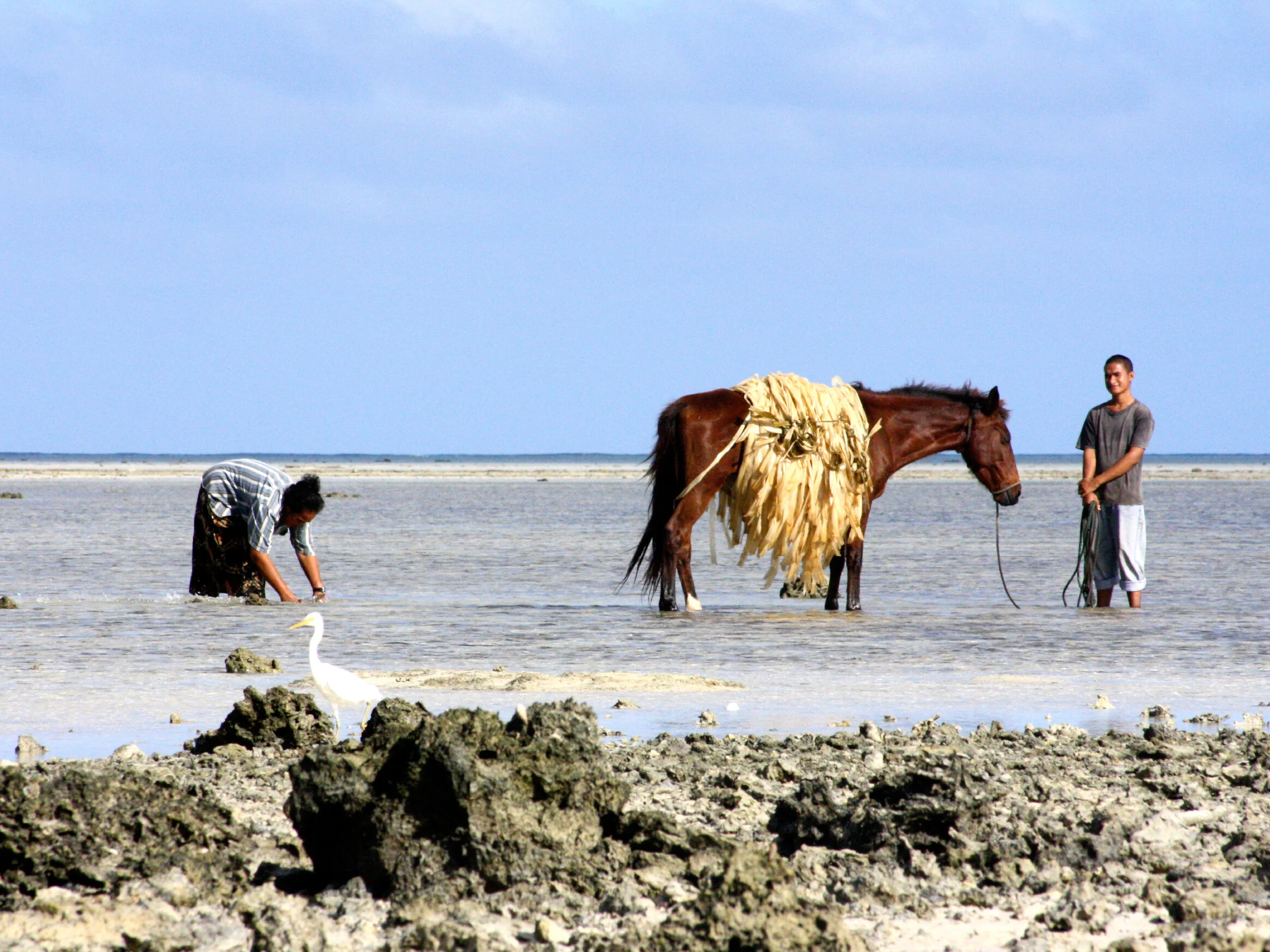 Drina Turston_creative portfolio_ipad32.jpg