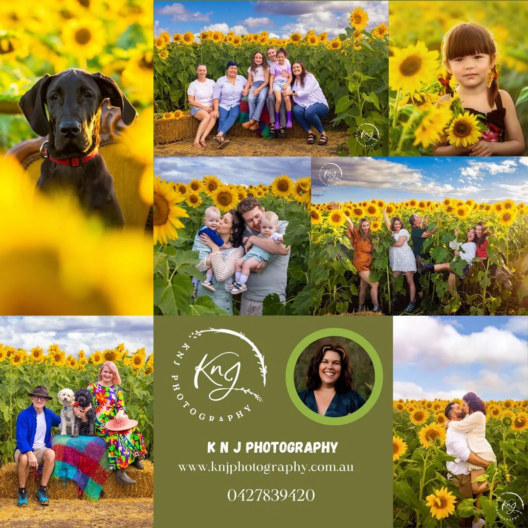 K n J Photography - Kalbar Sunflower Festival 2026.jpg