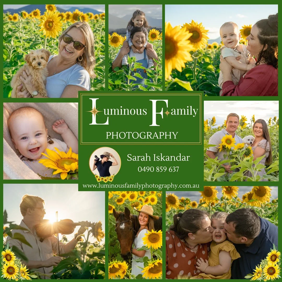 Luminous Family Photograpghy Kalbar Collage.jpg
