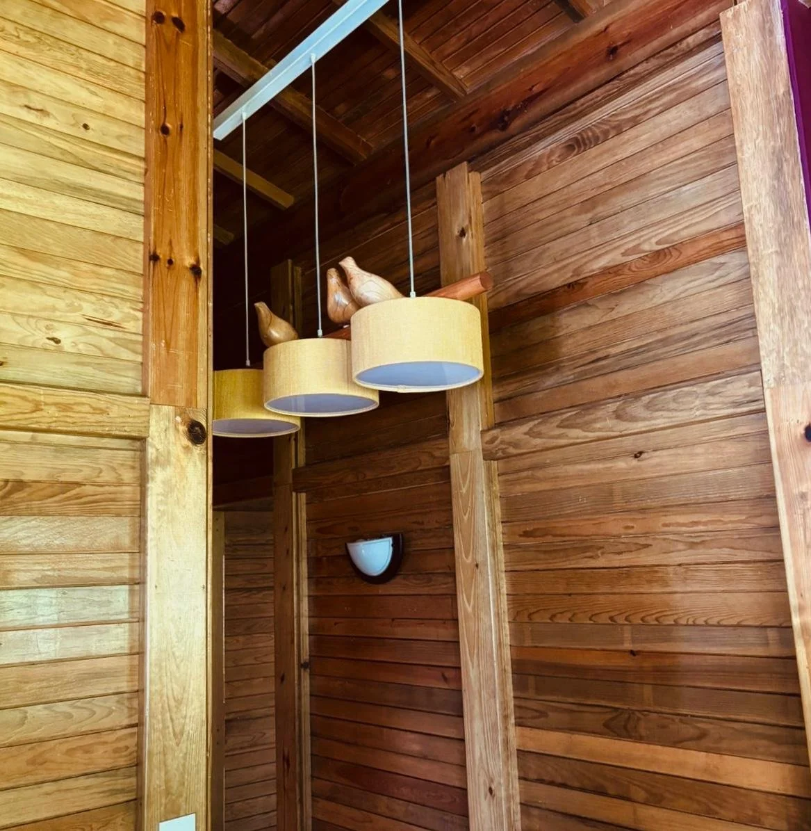 WhatsApp Image 2026-01-20 at 6.09.15 PM.jpeg