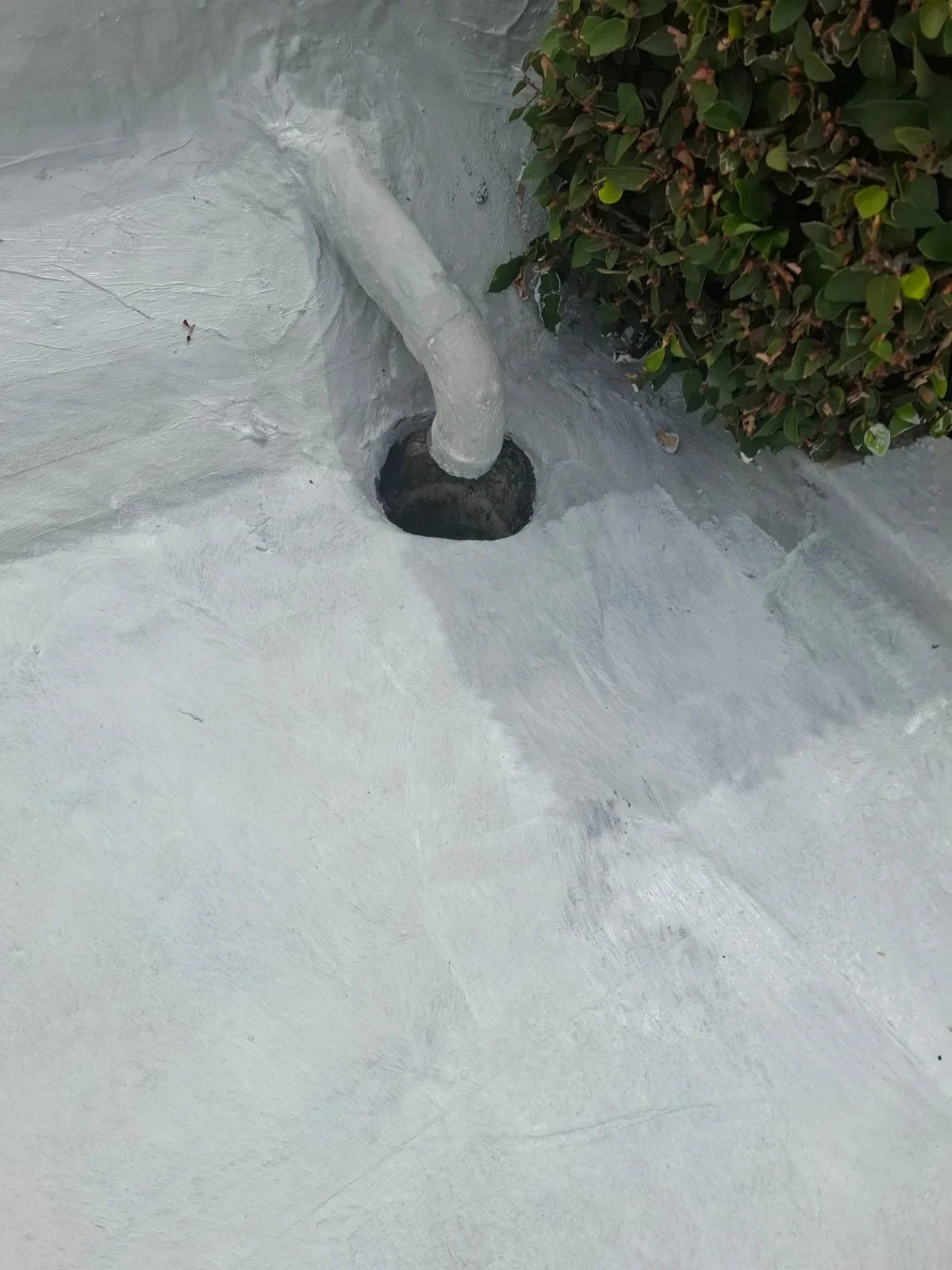 f6465214-f7ac-4f0e-a5d4-bbd9160e99aa.JPG