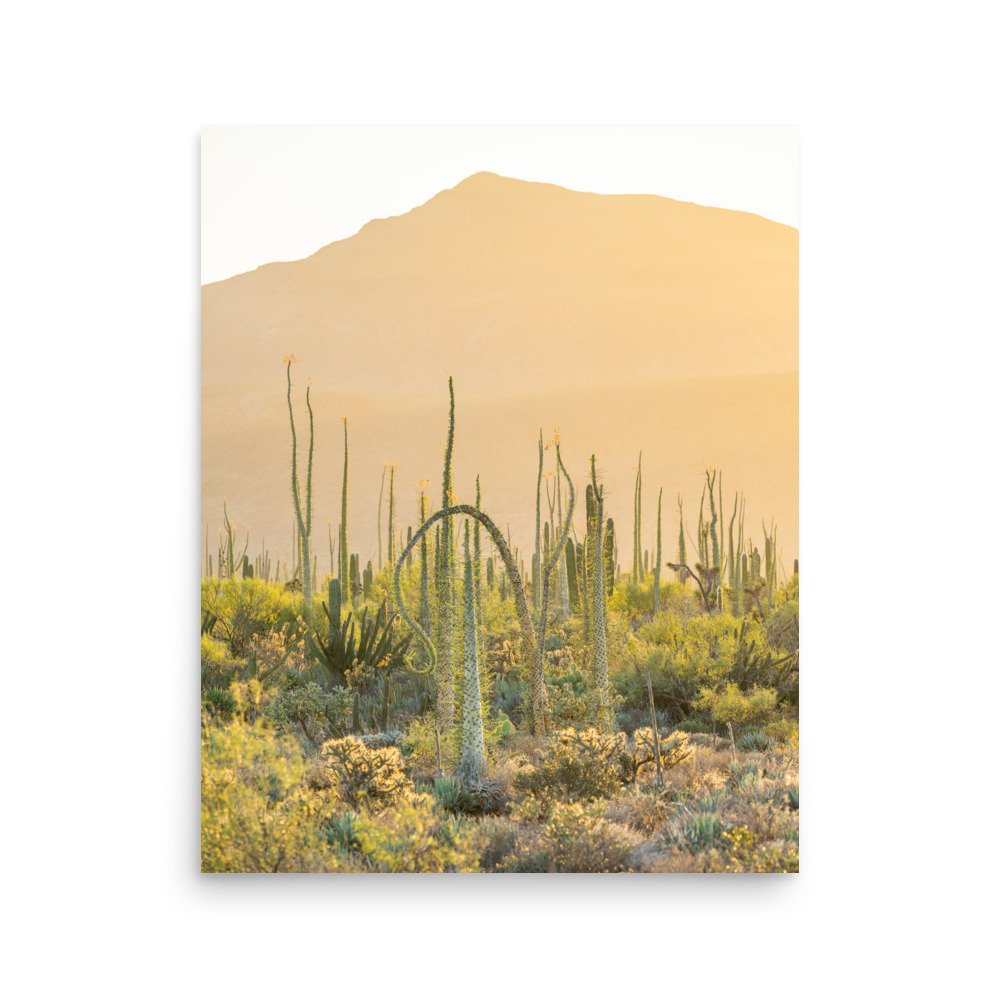 enhanced-matte-paper-poster-(in)-16x20-front-65adfec1eca11.jpg