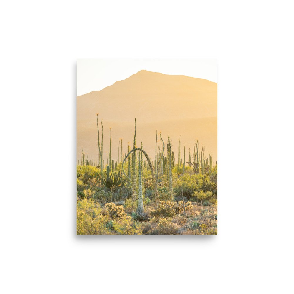 enhanced-matte-paper-poster-(in)-8x10-front-65adfec1ecab1.jpg