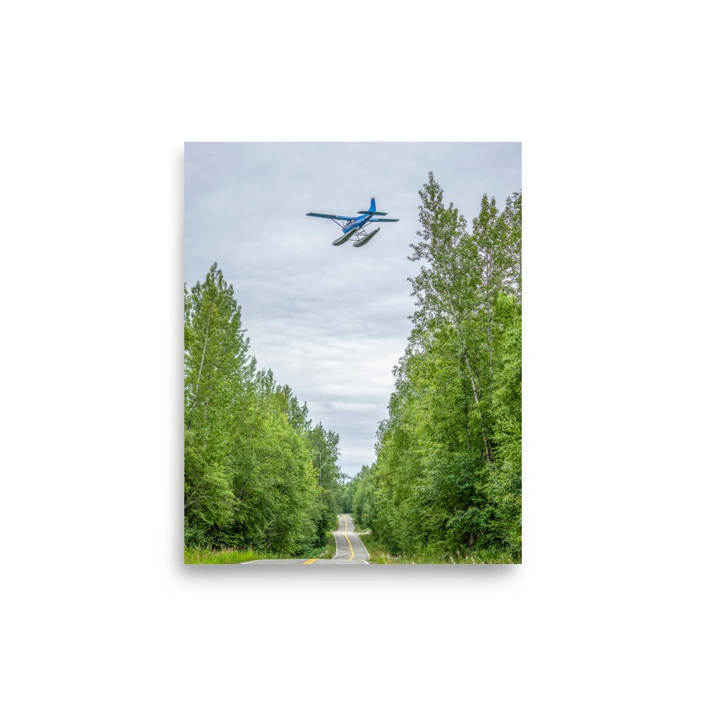 enhanced-matte-paper-poster-(in)-8x10-front-65ae02aeb20ee.jpg