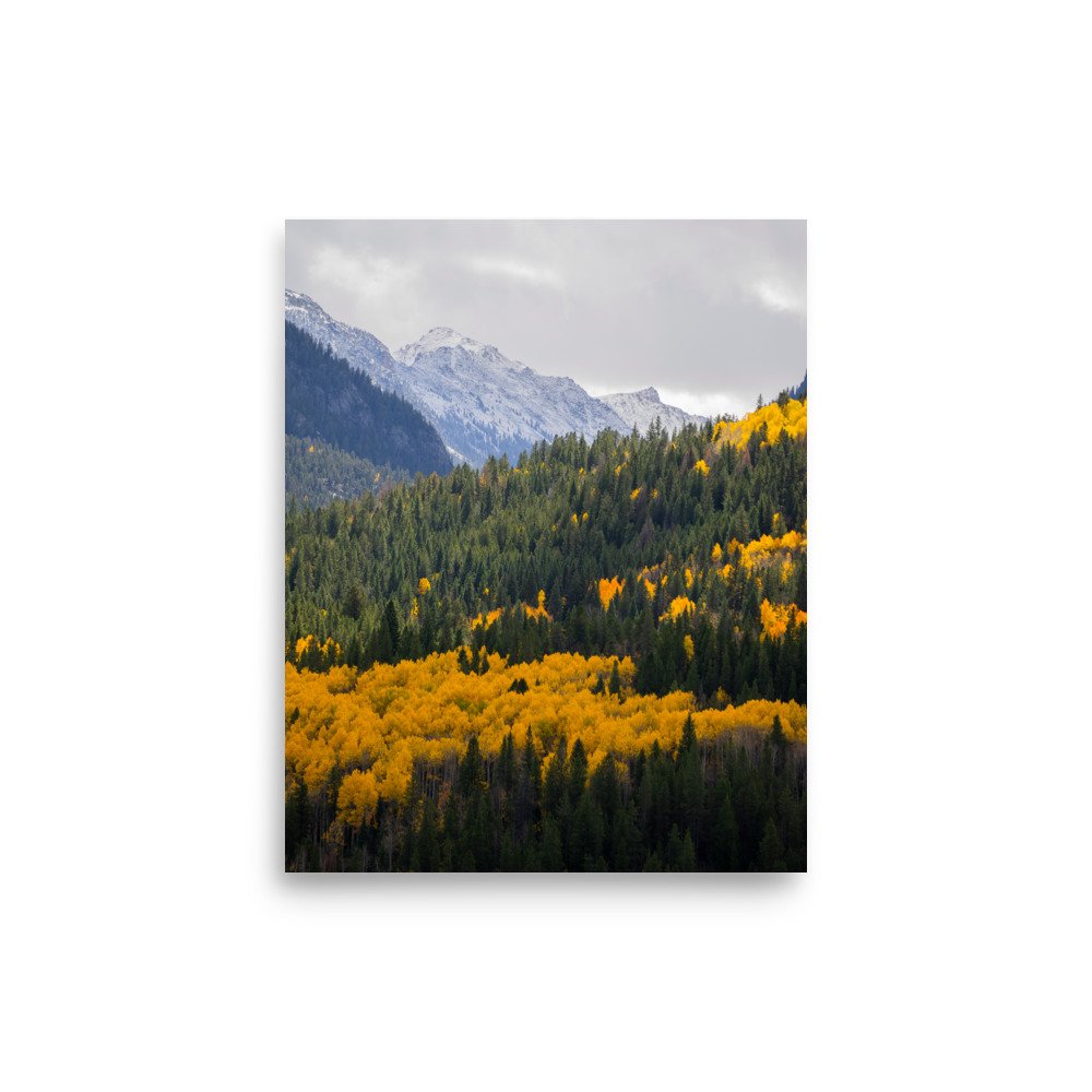 enhanced-matte-paper-poster-(in)-8x10-front-65ae049503bdf.jpg