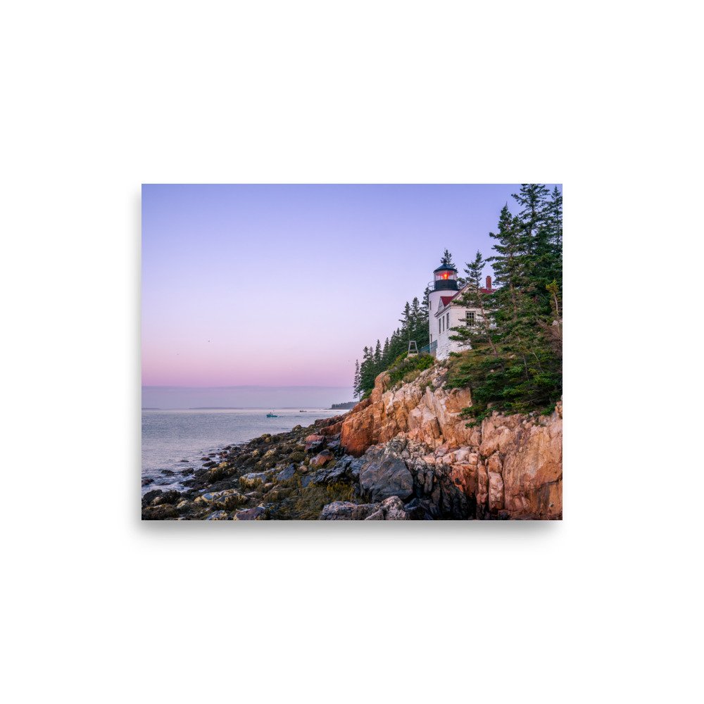 enhanced-matte-paper-poster-(in)-8x10-front-65ae0c0cb68e5.jpg