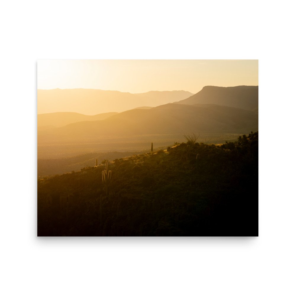 enhanced-matte-paper-poster-(in)-16x20-front-67f5ef70e9a09.jpg