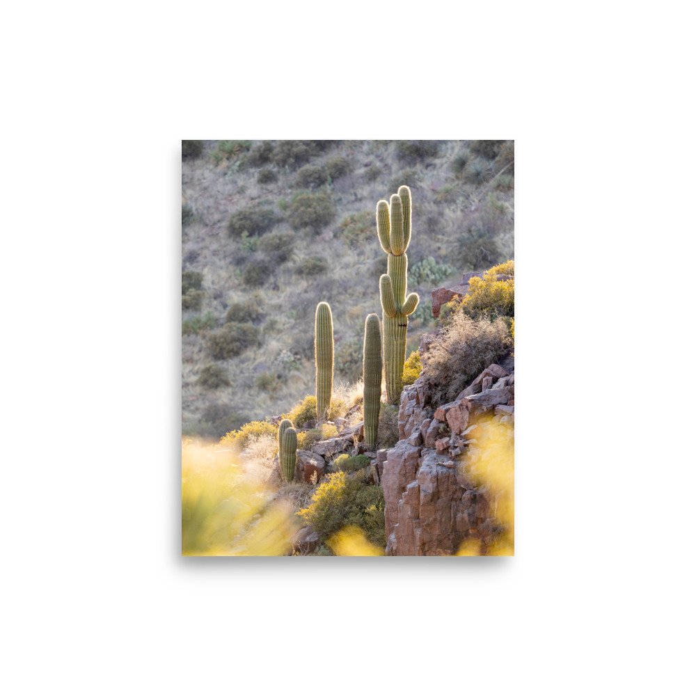 enhanced-matte-paper-poster-(in)-8x10-front-67f601ad581f5.jpg