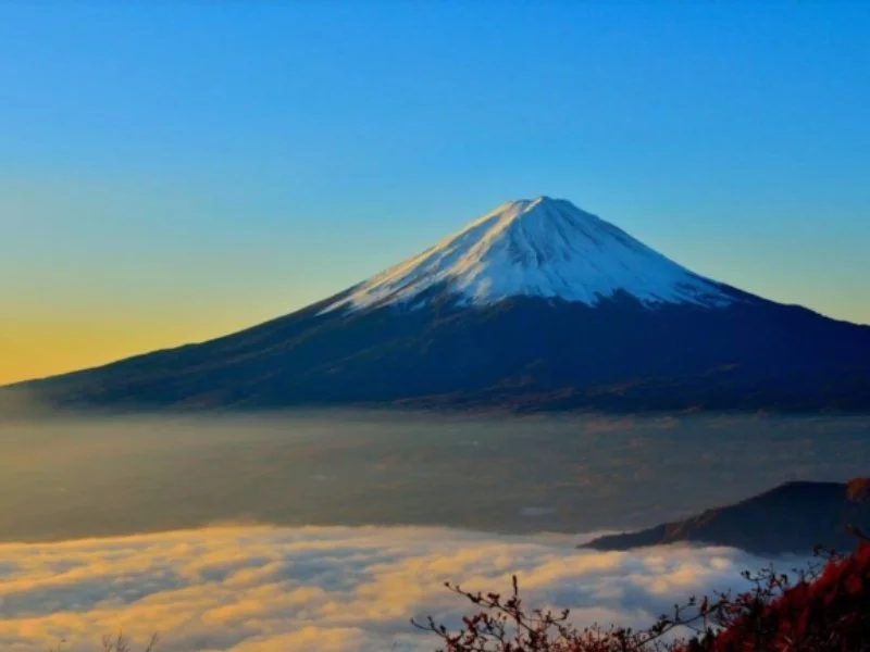MONSTER VIEW OF MT FUJI