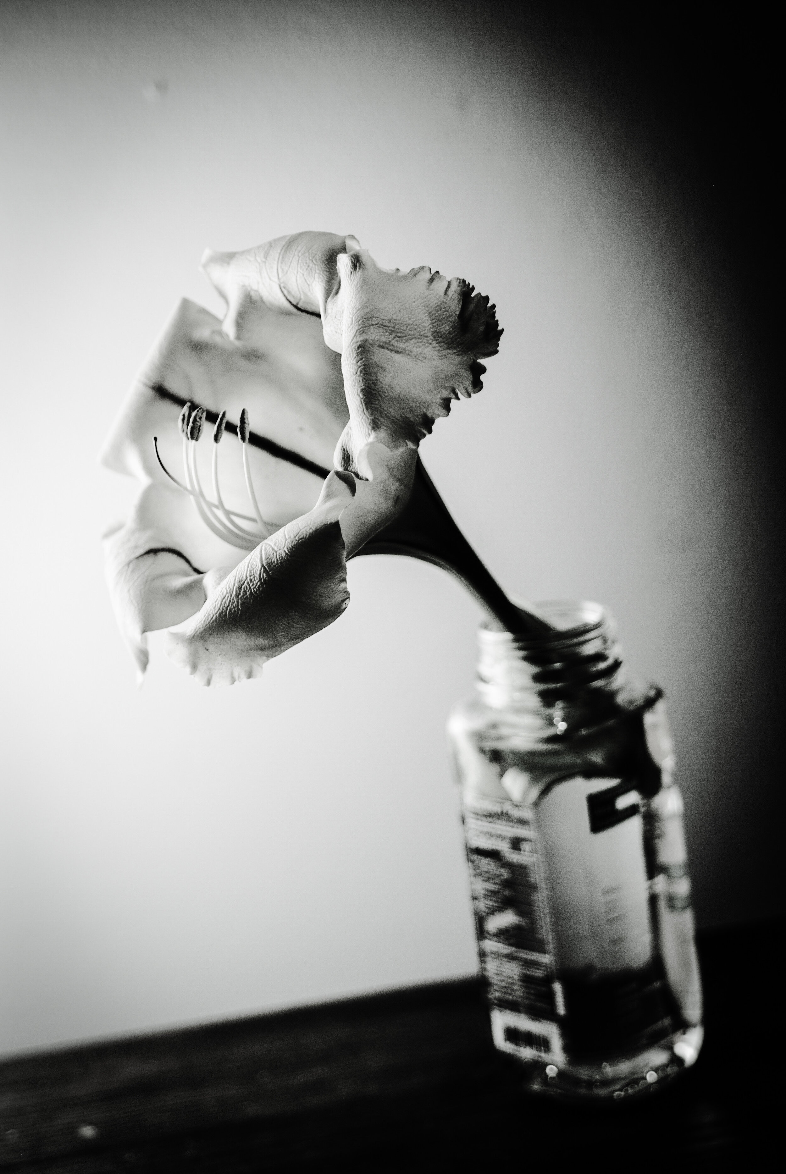 File_004(1).jpeg
