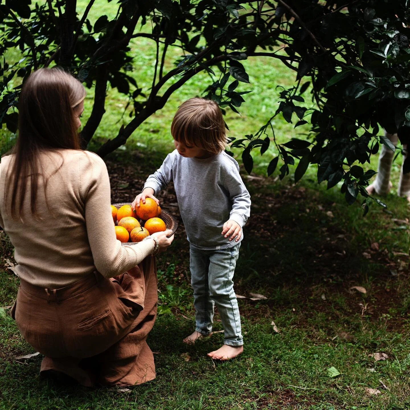 My favourite thing to do is picking fresh fruit from the garden and watching the joy that comes with it with the kids. Then seeing it all of the kids faces 🙌🏻 🍋 🍊 #cohbeing #highvibration #vibrationfood #energyhealing #healingfoods