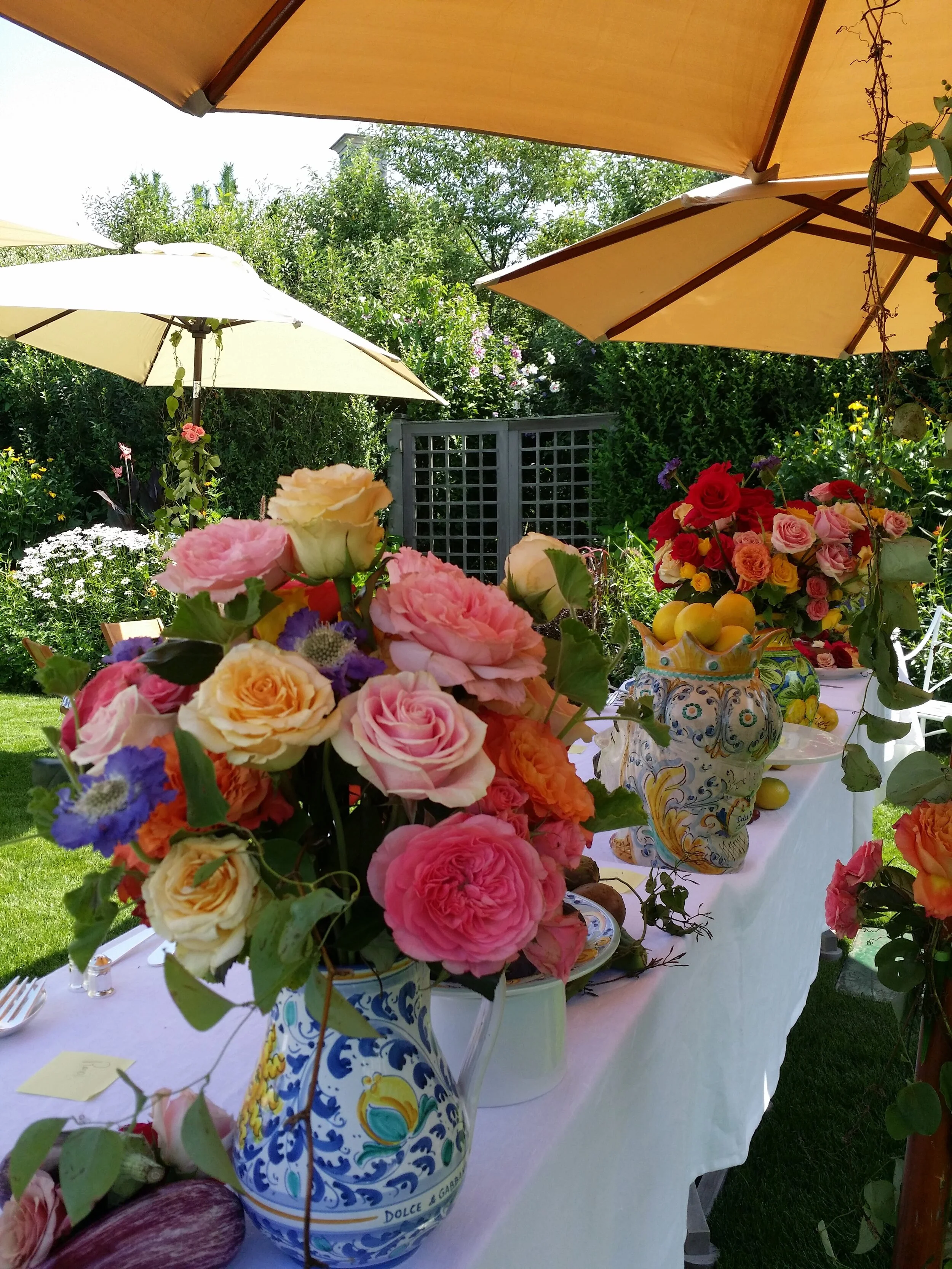 20140808_103741.jpg