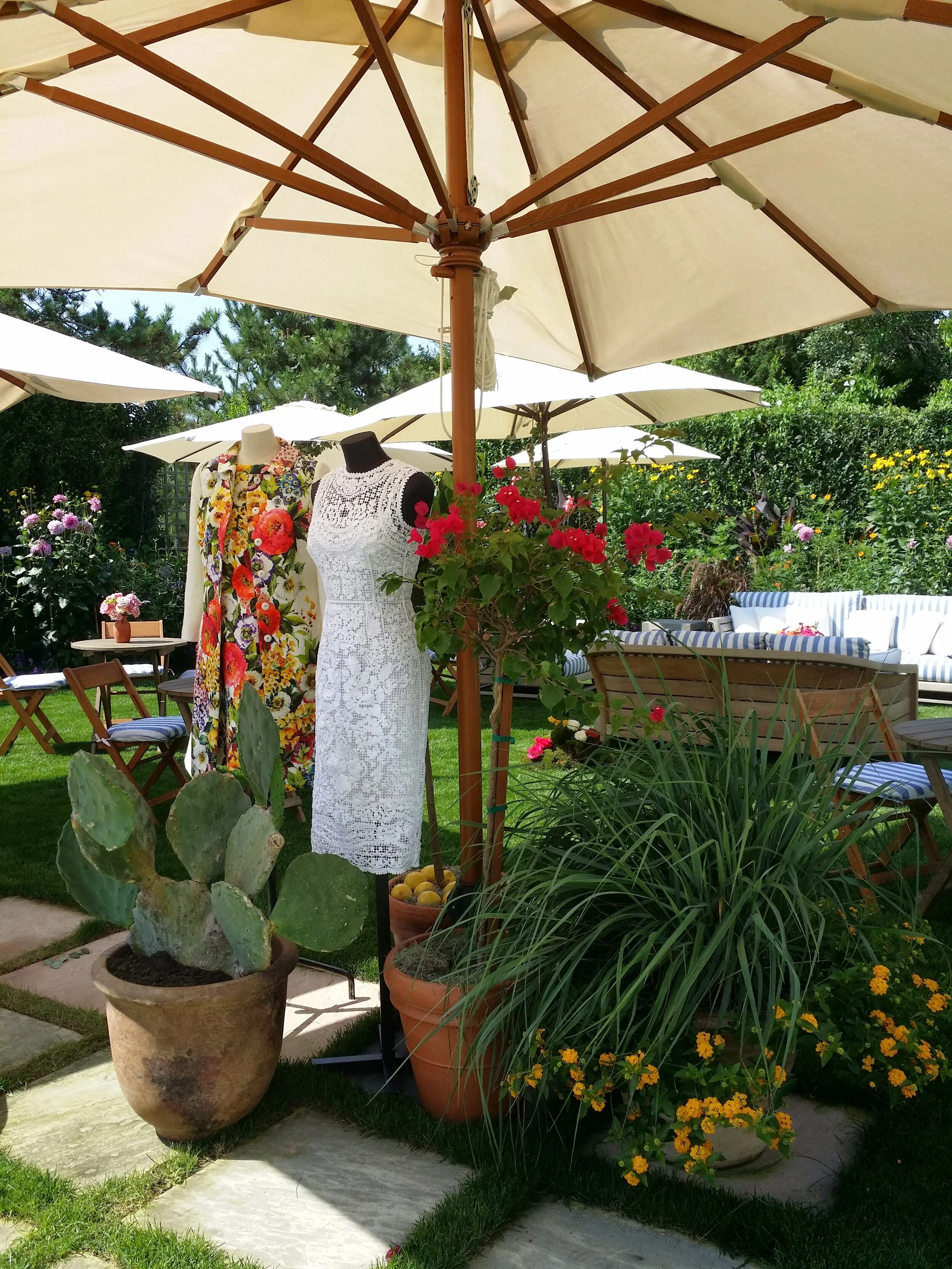 20140808_104027.jpg