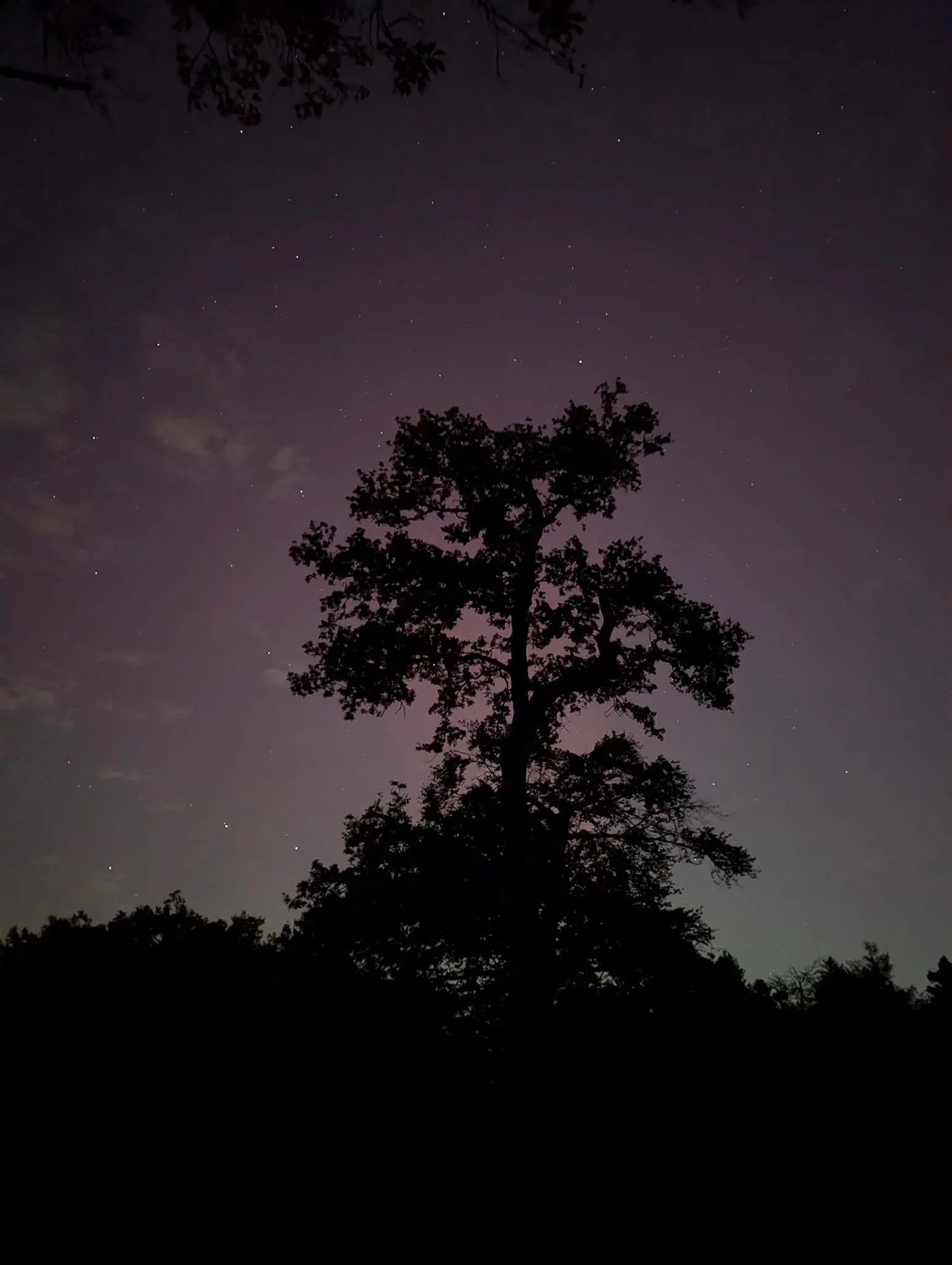 Do you ever find yourself sitting under the stars on a dark night? 
Looking for the answers to the elements which feel like a fight. 

You look up and see the brightest, bravest north star shining,
Surrendering to faith, you know you can allow realig