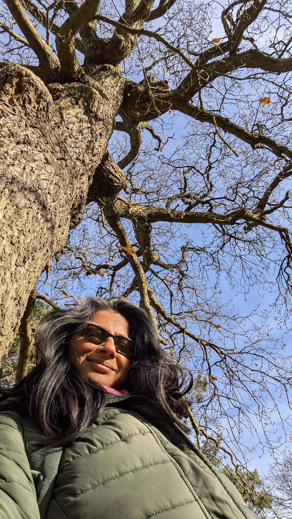 Did you know there are different elements to your nervous system? 

You may have come across the sympathetic part, that of freeze, flight, fight reactions. By default we are in this state for far longer than is healthy.

We therefore need to learn th