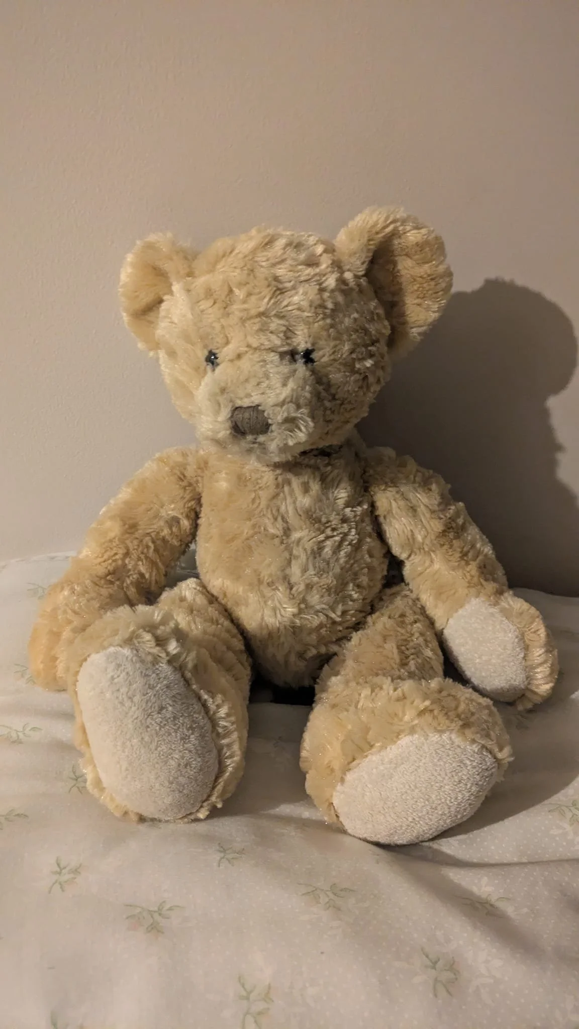 Like a teddy bear:

Do you have a beautiful button nose?
To smell all the sweet flowers, including the rose. 

Do you go to the teddy bears picnic?
With your basket of food to share and lick.

Do you have the softest of paws, to reach and give hugs?
