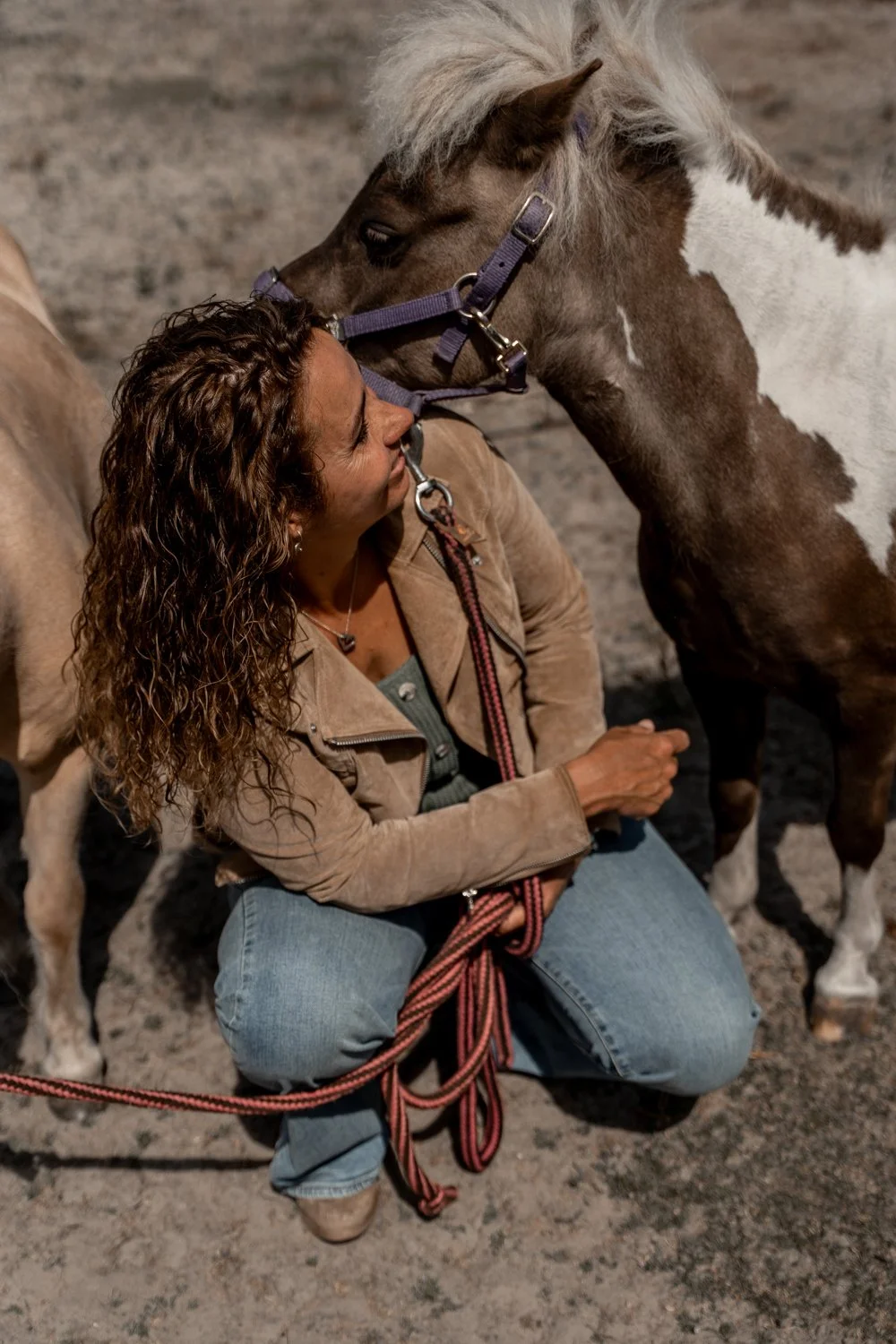 Rouwcoaching met knuffelpony