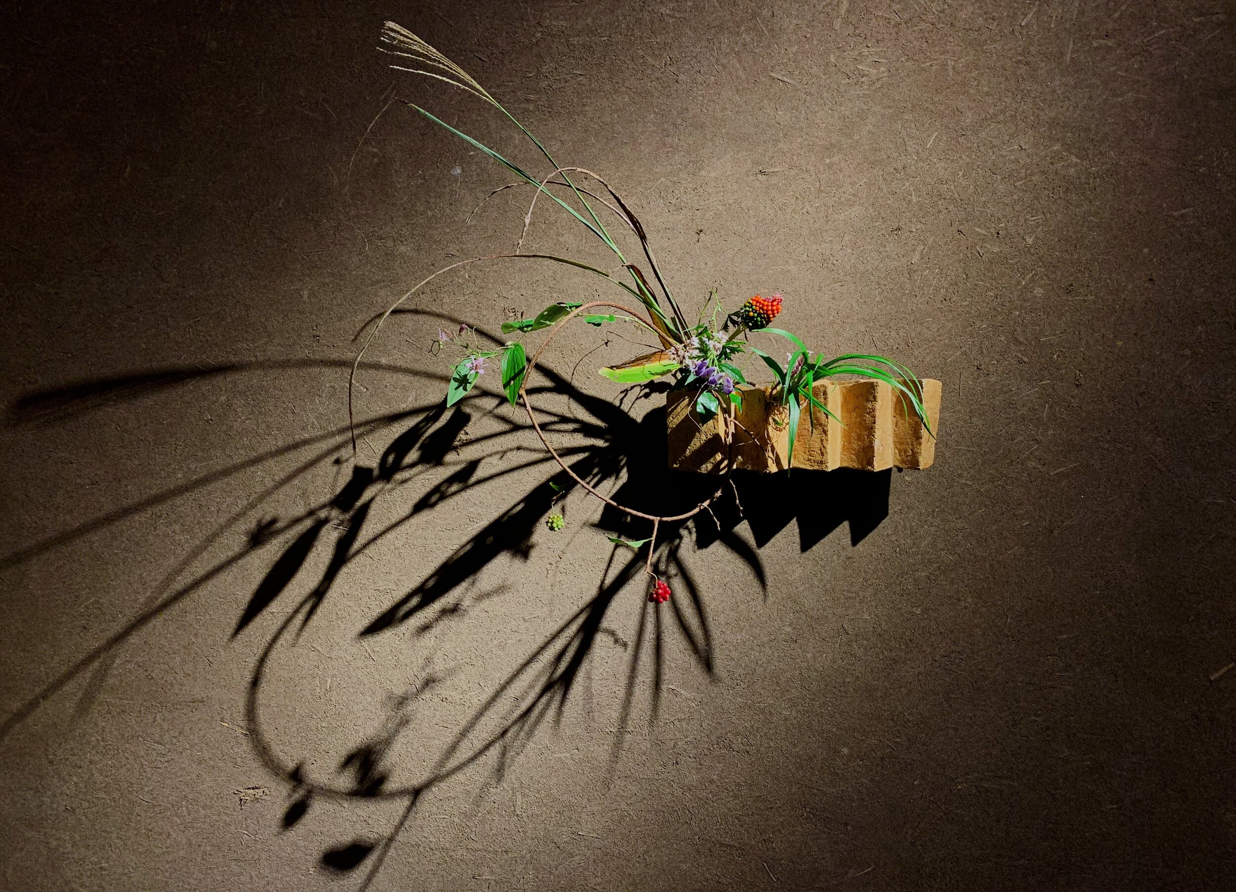 AF0B9707-991A-484E-952B-4EEE0E07AAF9.jpg