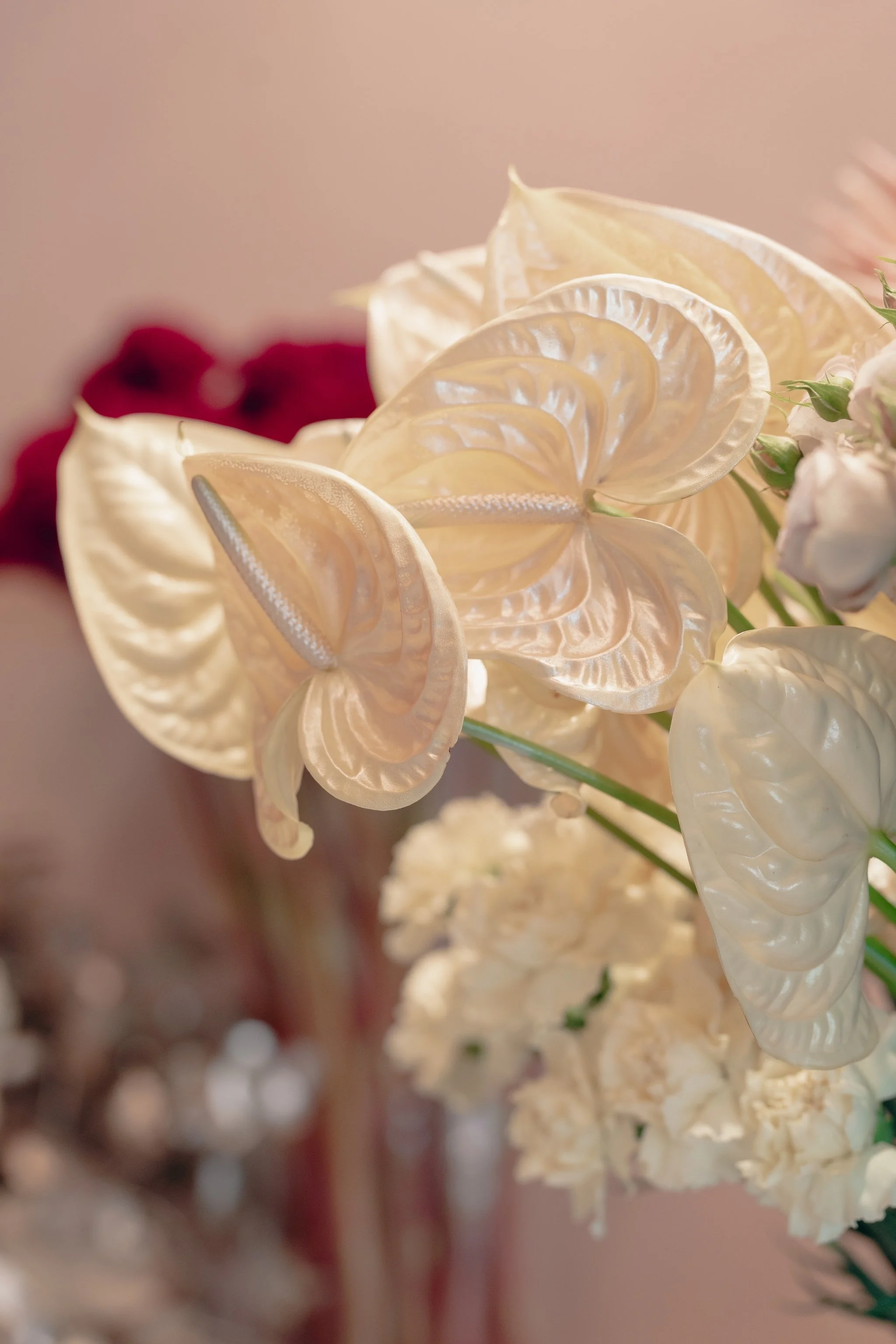 Sträusse und Blumen in Zürich – kreativ & handgemacht - Calla Lilien