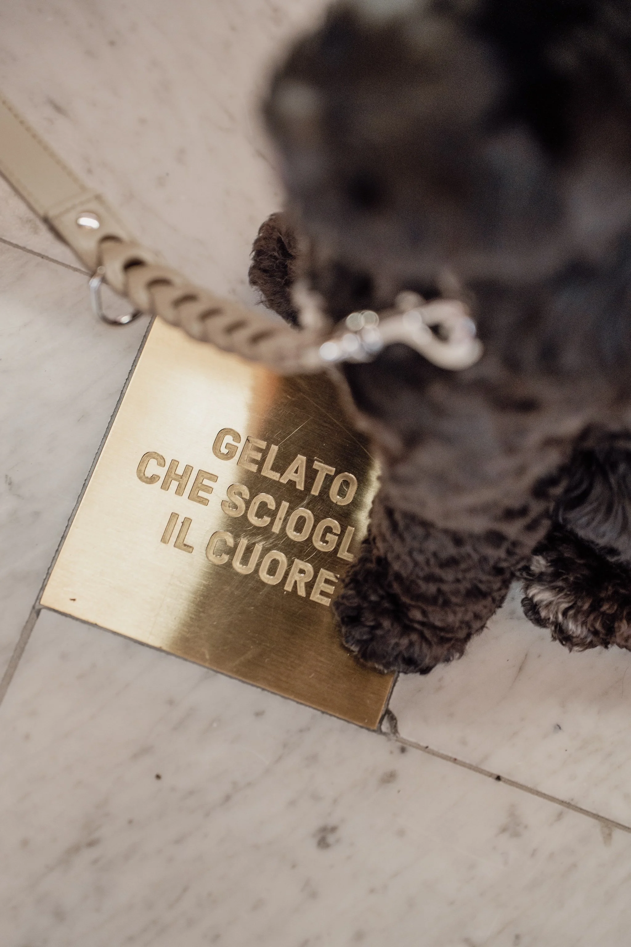 Espresso zum Mitnehmen Zürich – italienischer Kaffeegenuss unterwegs
