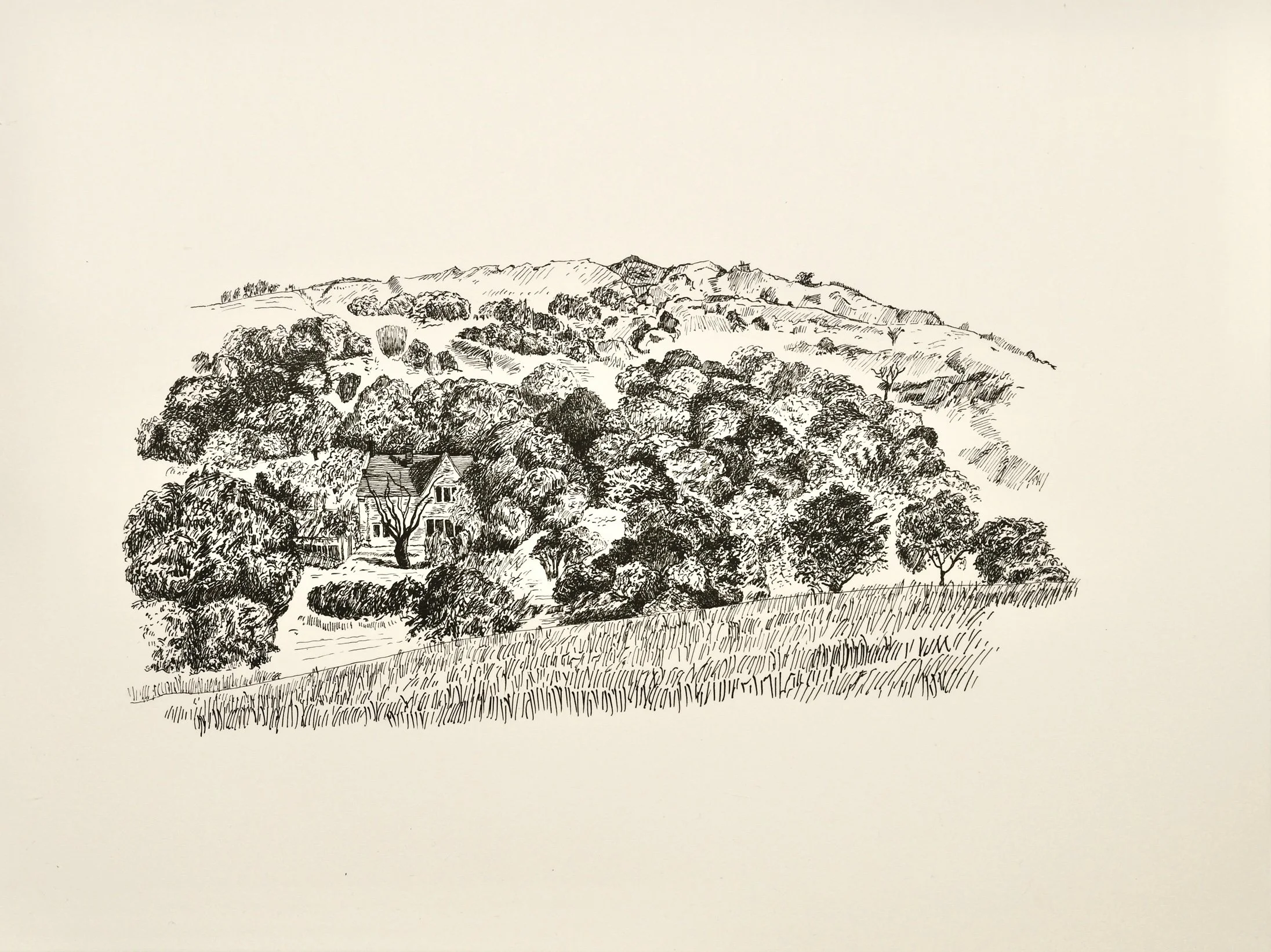 Vincent-Matthews_Treetops.jpeg