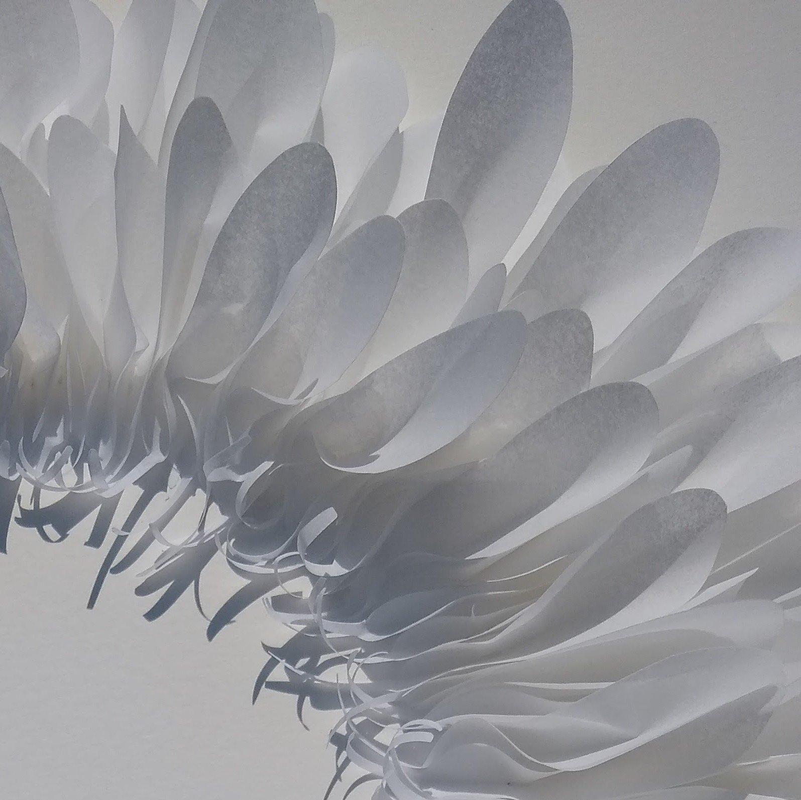 Carole Bury - Feathers Shield - detail.jpg