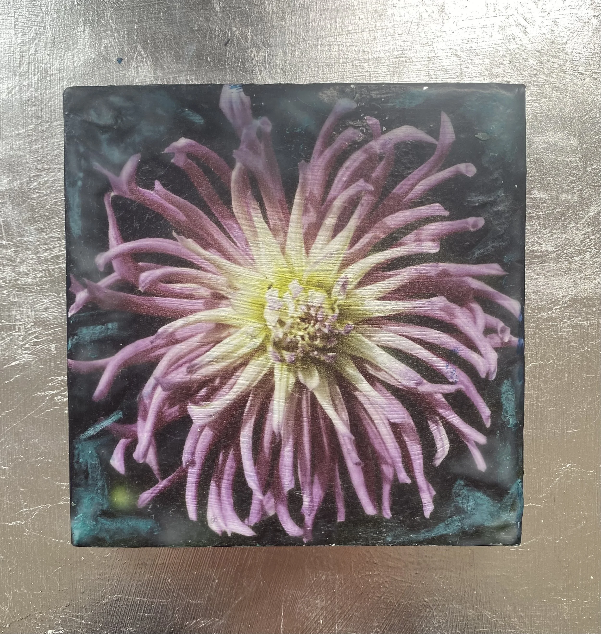Kristina Alexander, Garden Jewels: Spidery Dahlia I