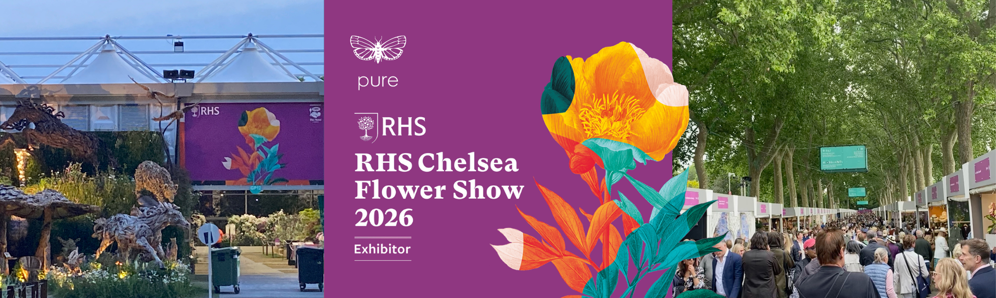 Pure at RHS Chelsea
