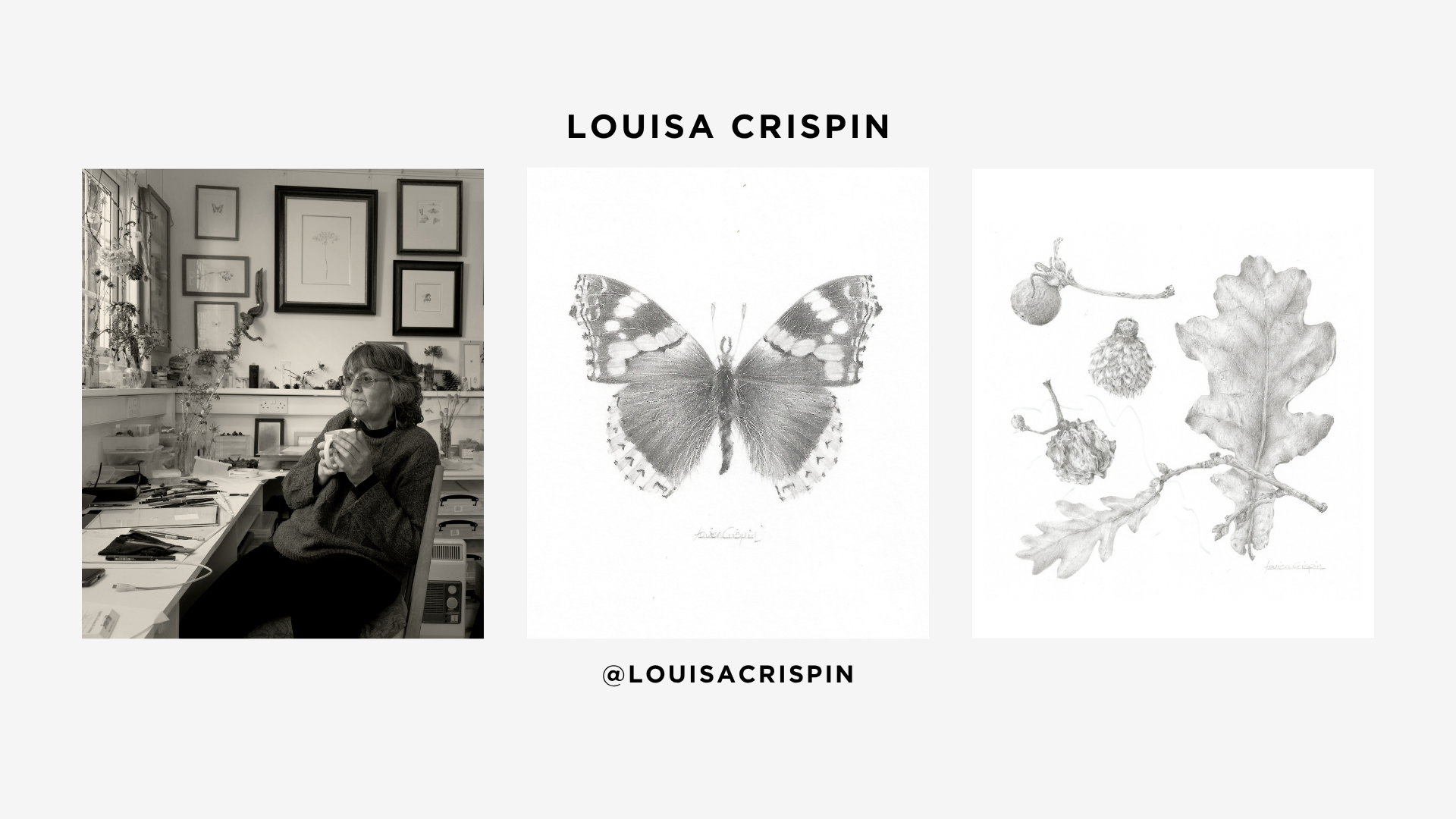 Louisa Crispin.png