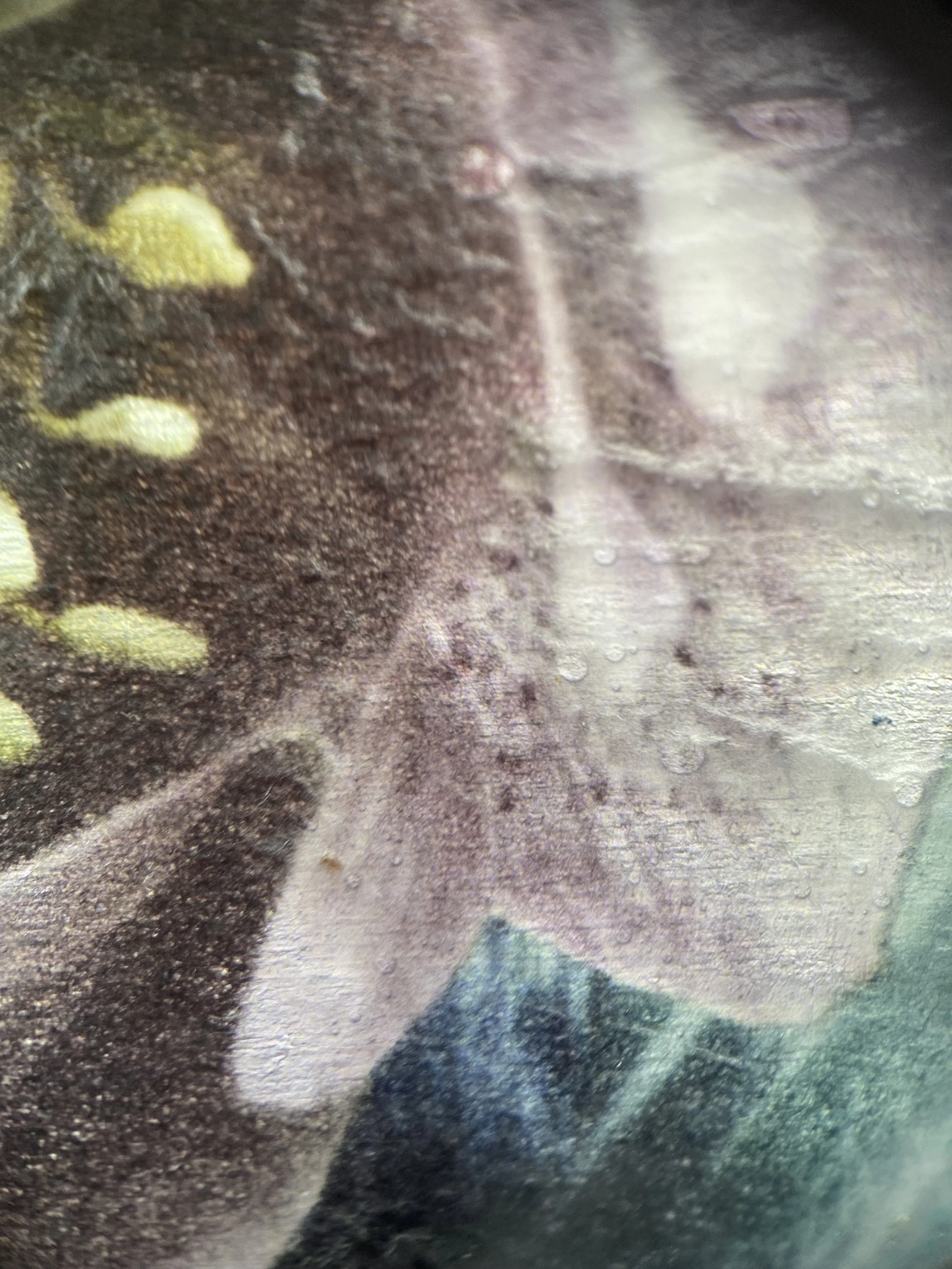 Kristina Alexander, Garden Jewels: Pink Hellebore I detail