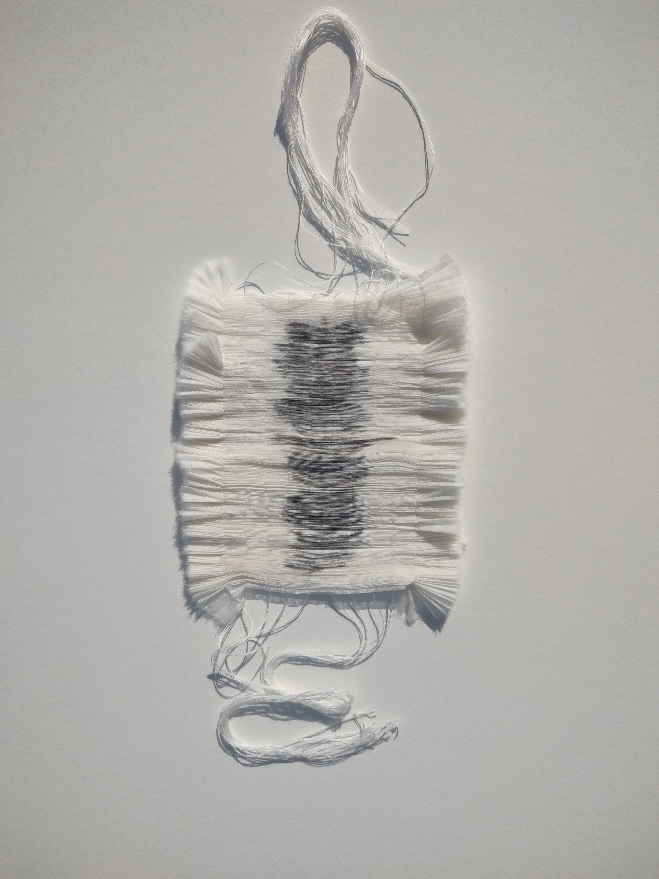 Carole-Bury_Fragility_detail 2.jpg