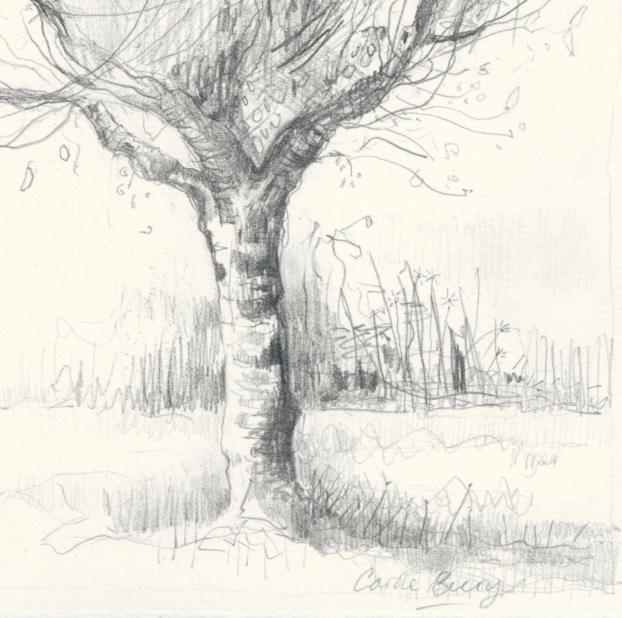 Carole-Bury_Apple-Season_detail 2.jpg