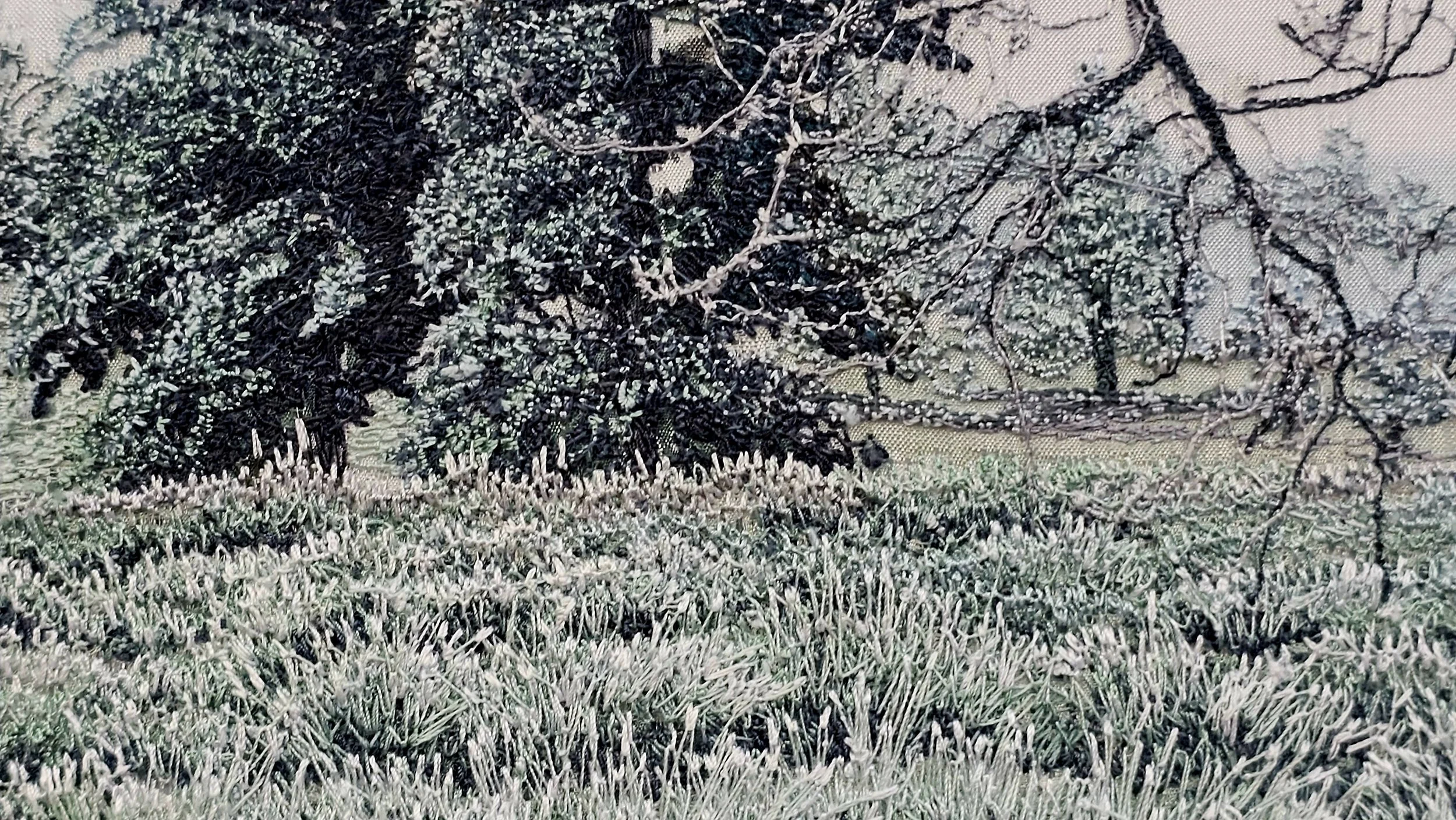 Alison_Holt_Frosted_Silver_Fields .jpg