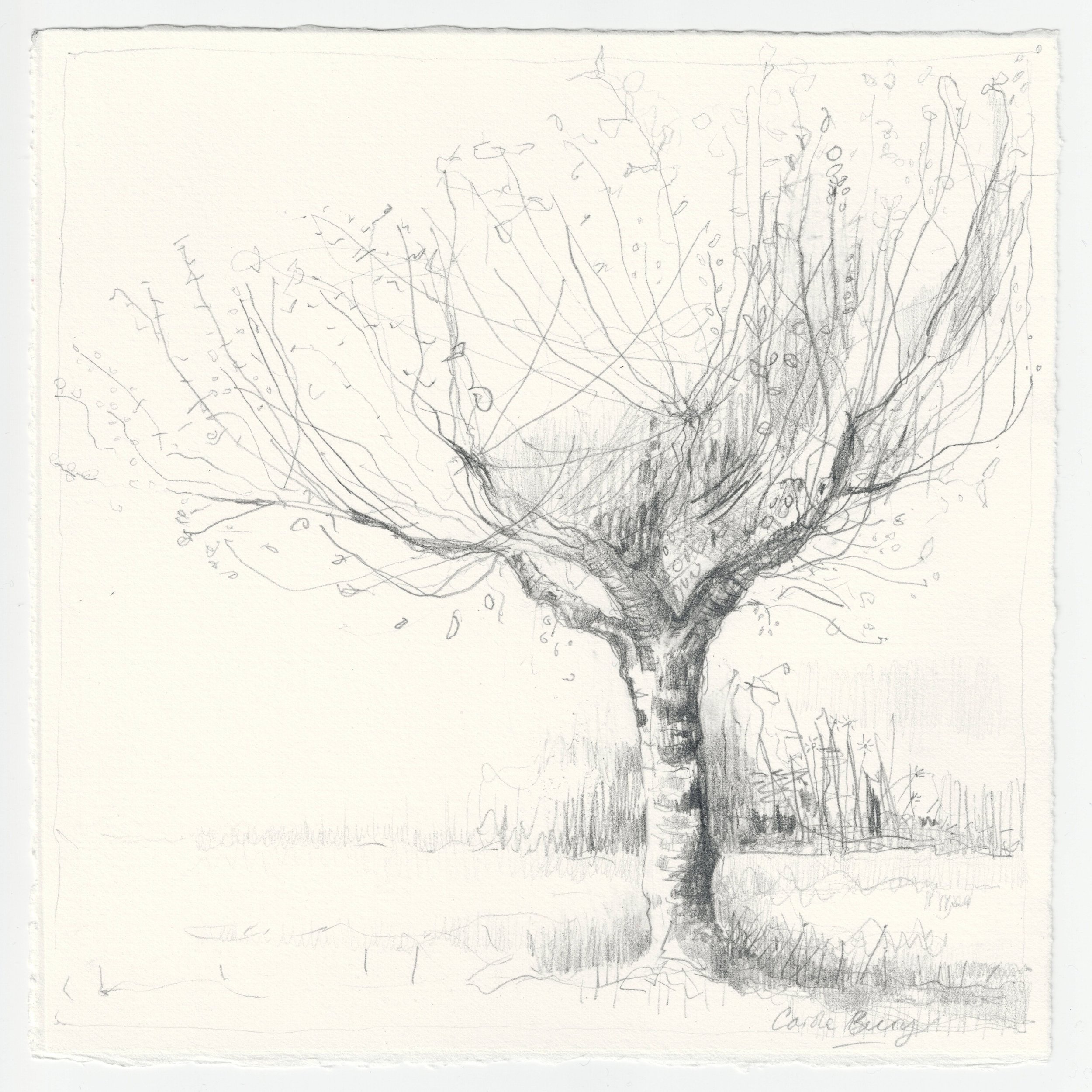 Carole-Bury_Apple-Season_9977.jpg