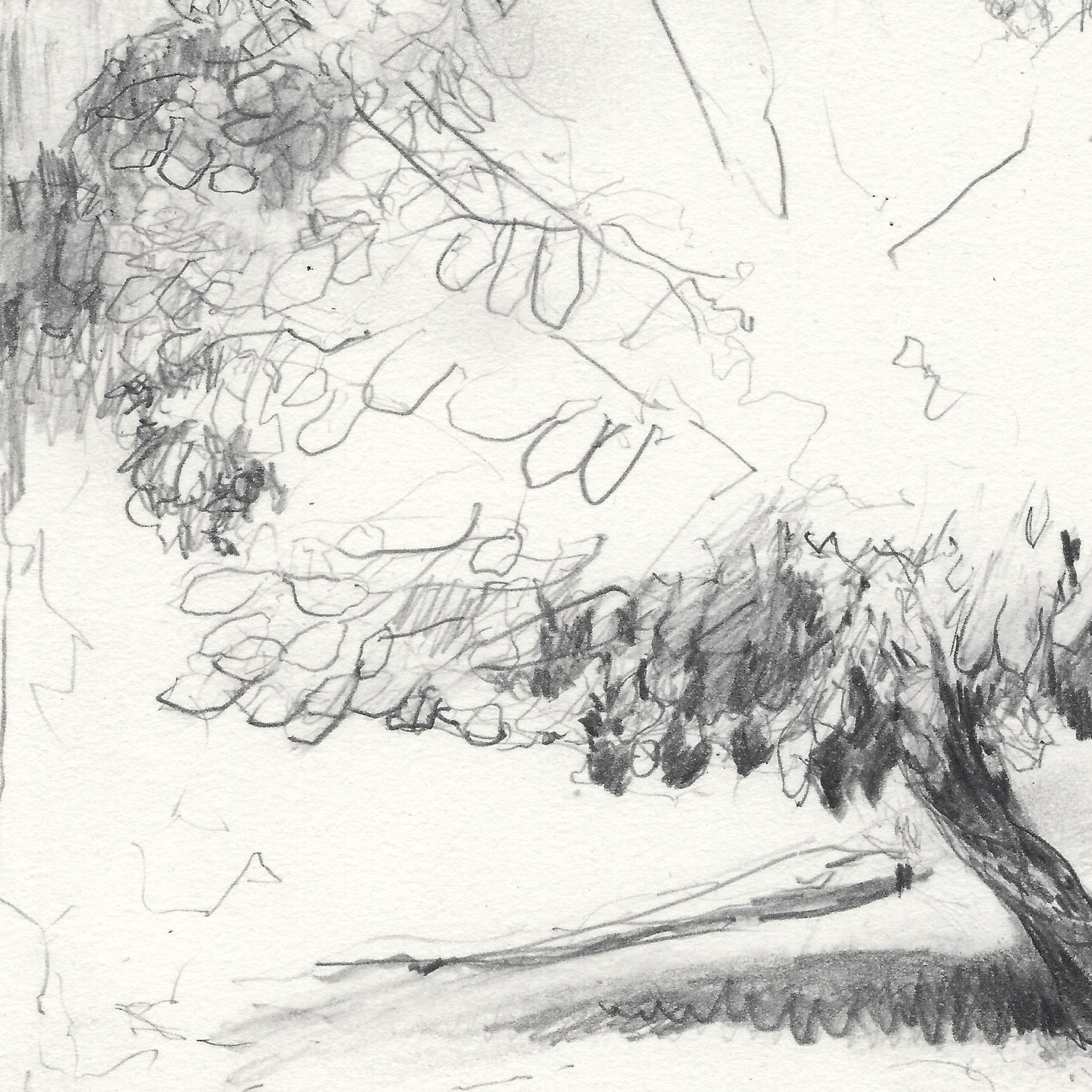 Carole-Bury_the-mulberry-tree_detail 1.jpg