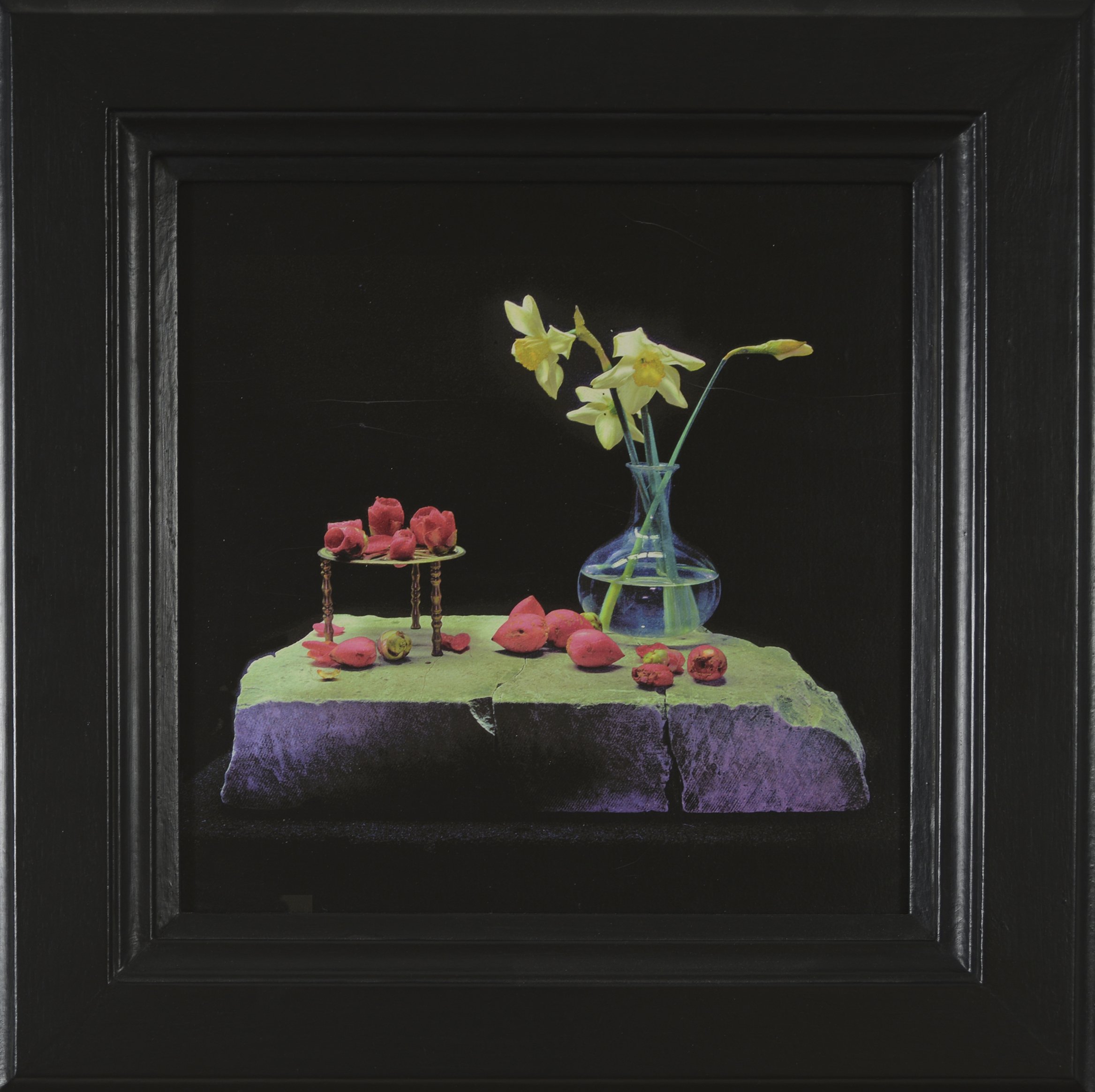 Shelley Rose, Daffodils & Camellias