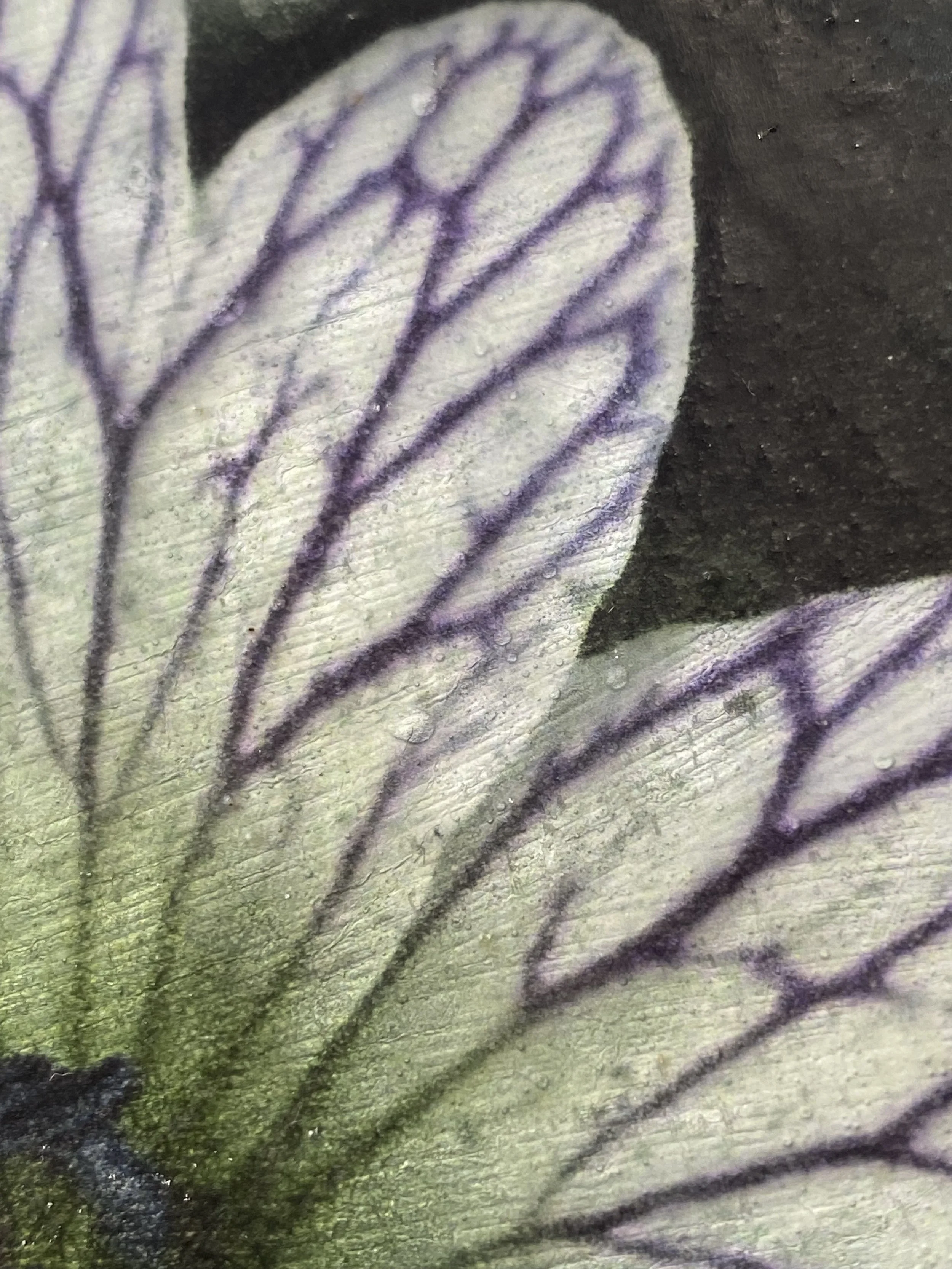 Kristina Alexander, Garden Jewels: Pencilled Geranium detail