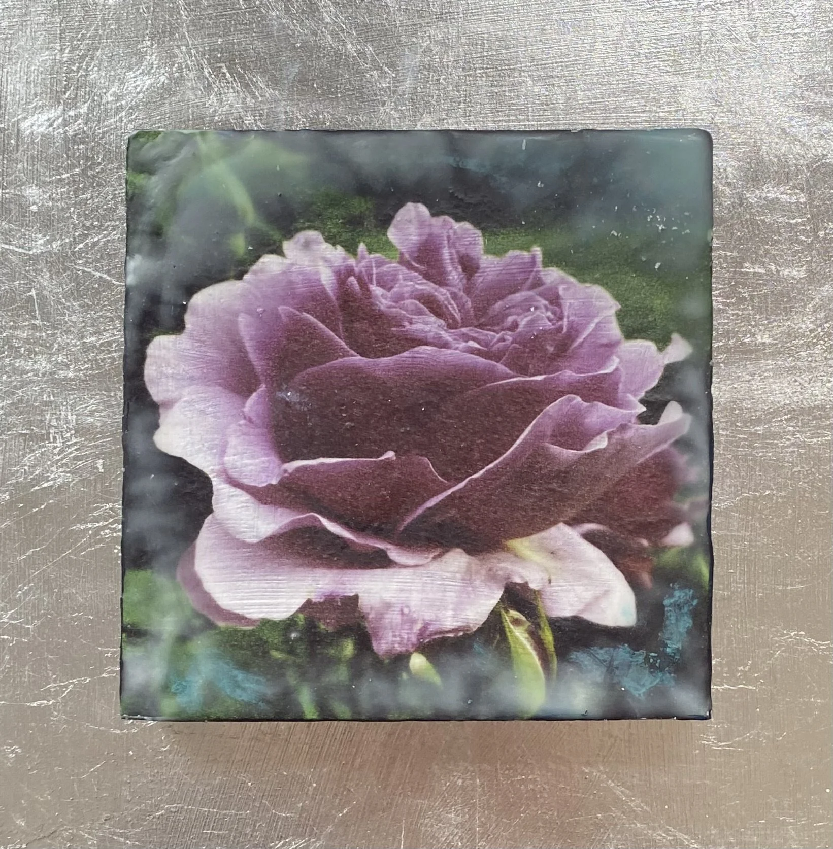 Kristina Alexander, Garden Jewels: Rose I
