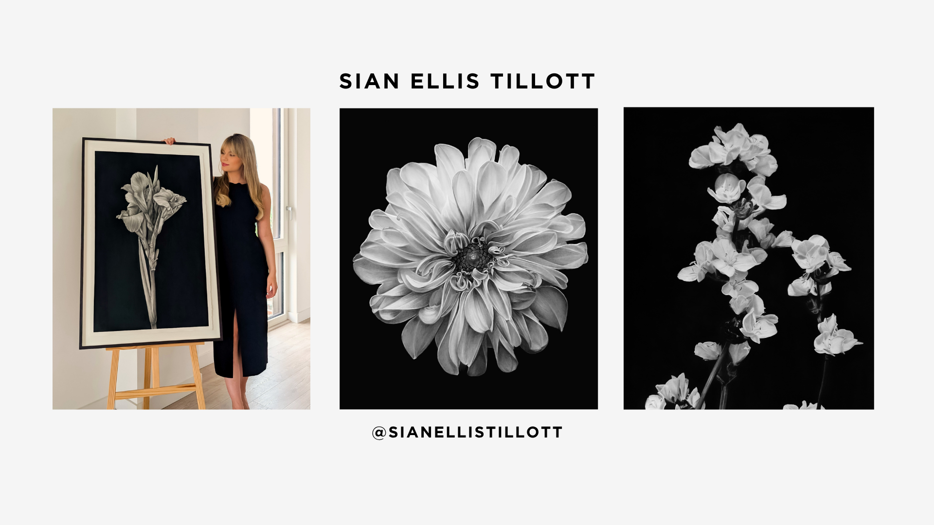 Sian Ellis Tillott.png