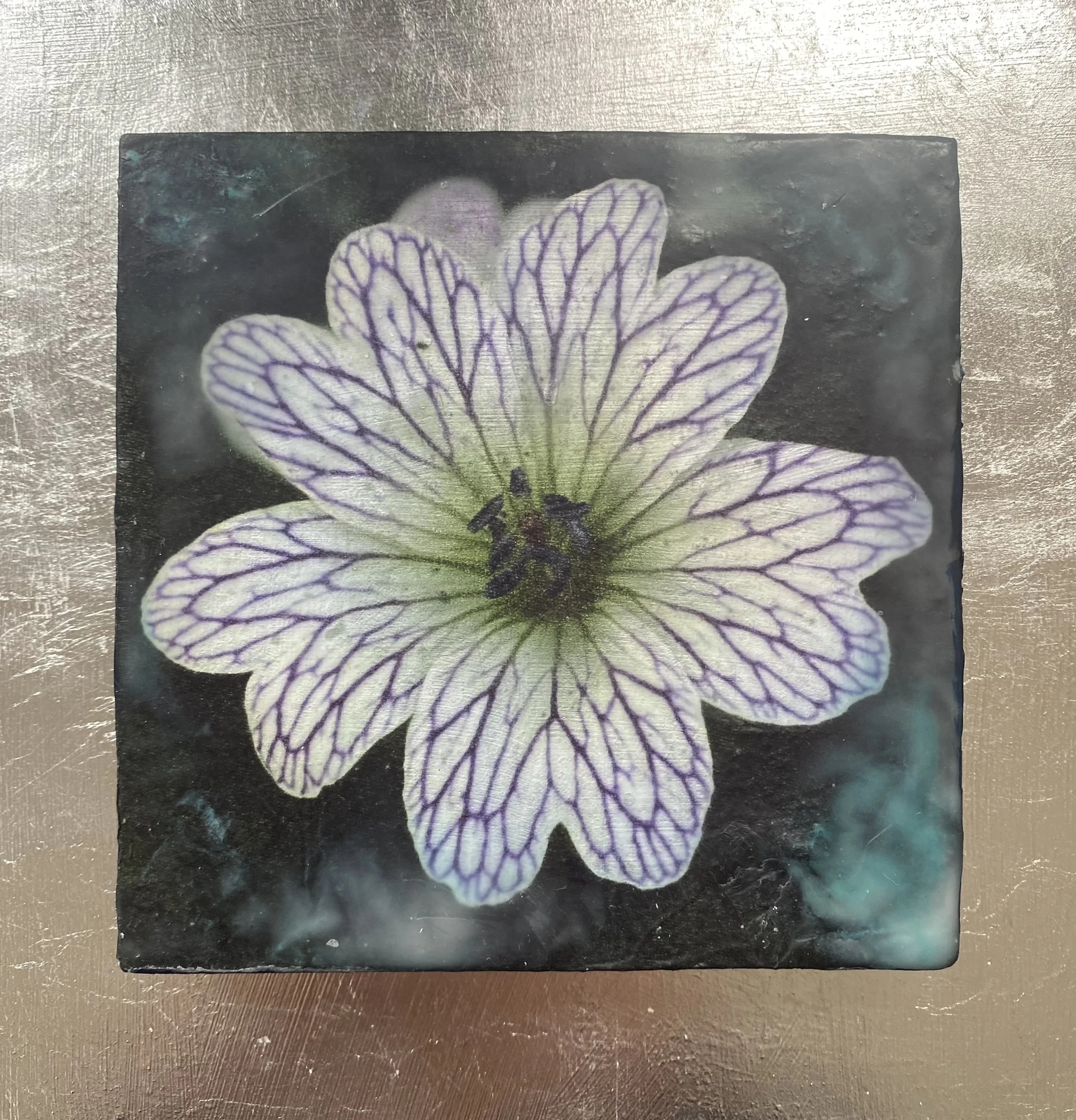 Kristina Alexander, Garden Jewels: Pencilled Geranium