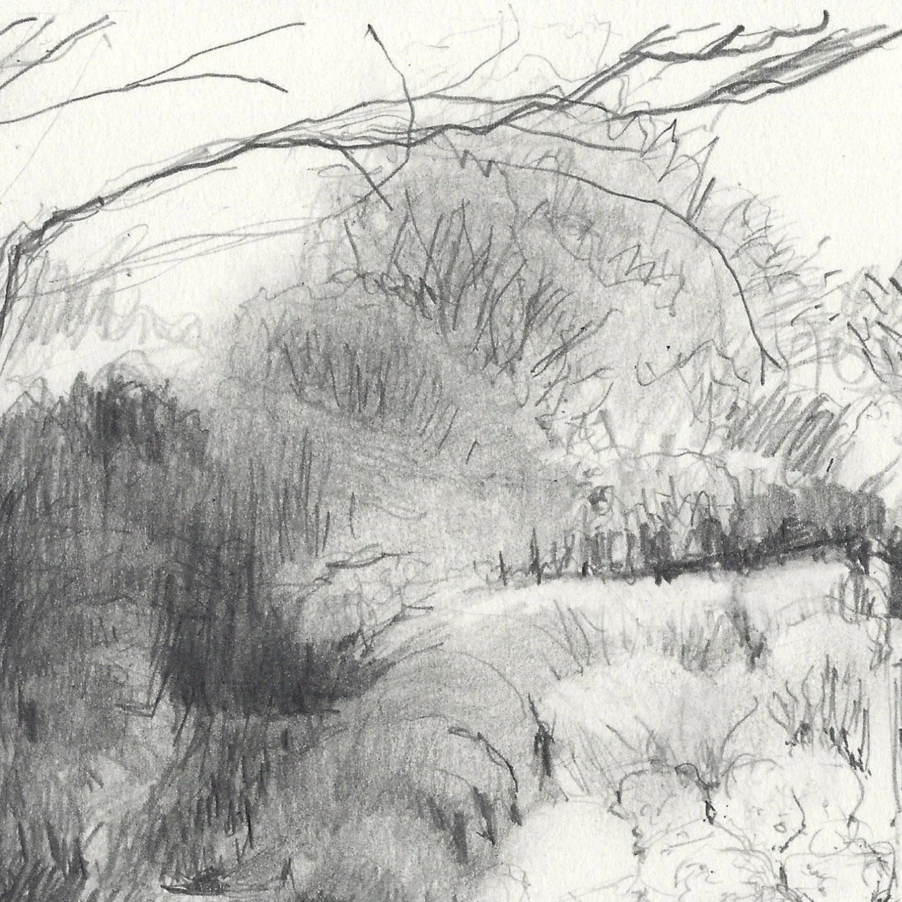 Carole-Bury_Sunshine-and-Rain_detail 2.jpg