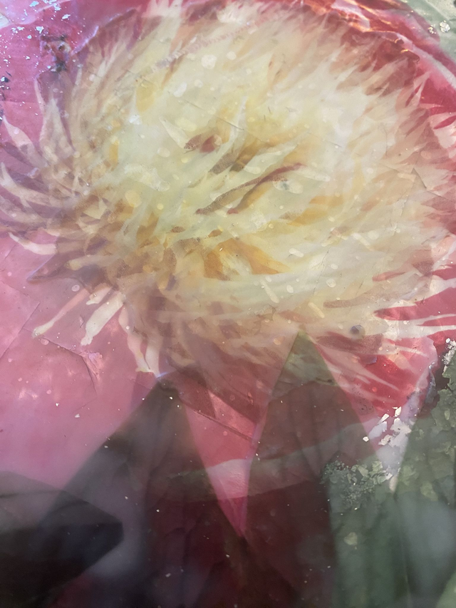 kristina-alexander_peony-on-silver-detail3.png