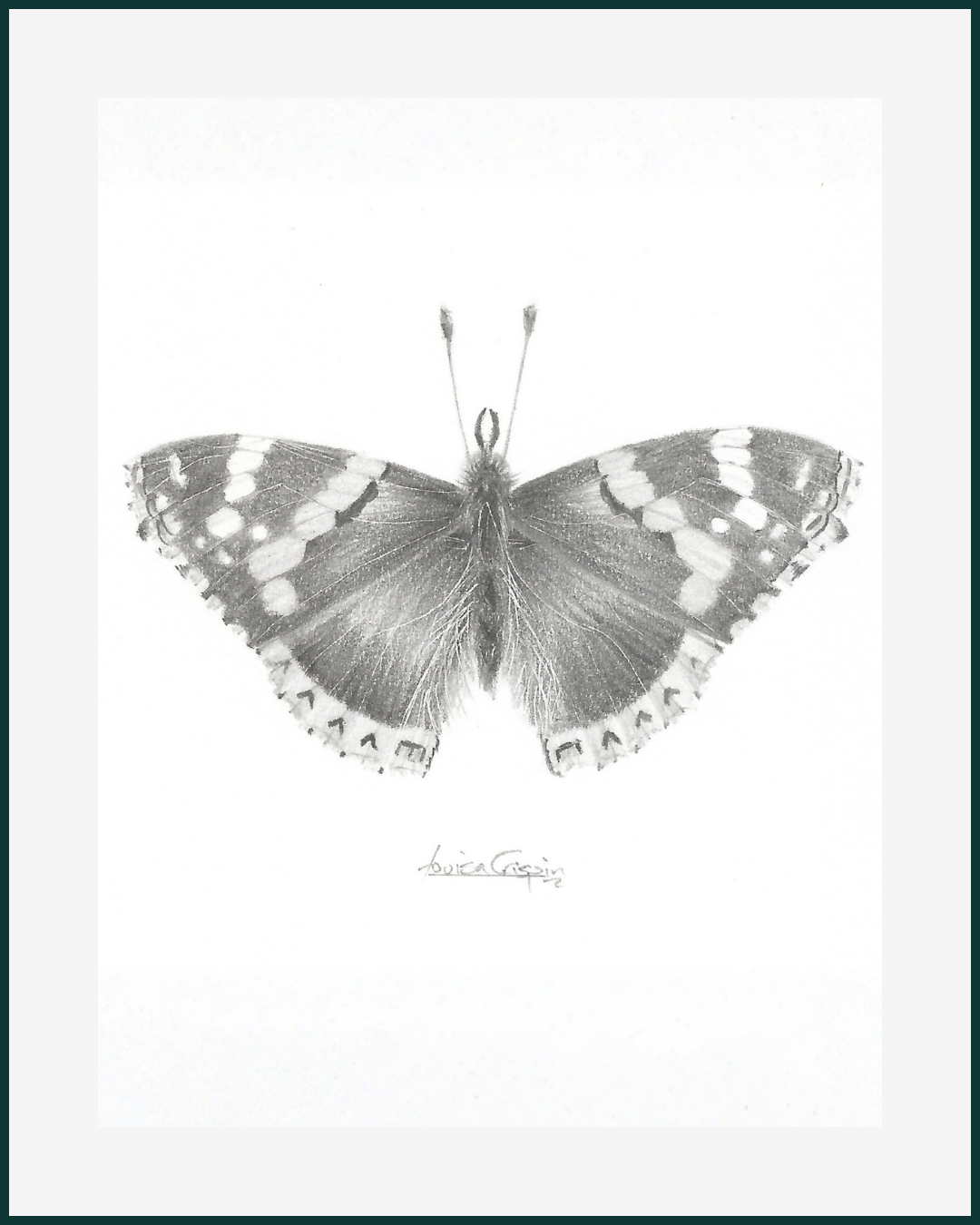 Louisa Crispin