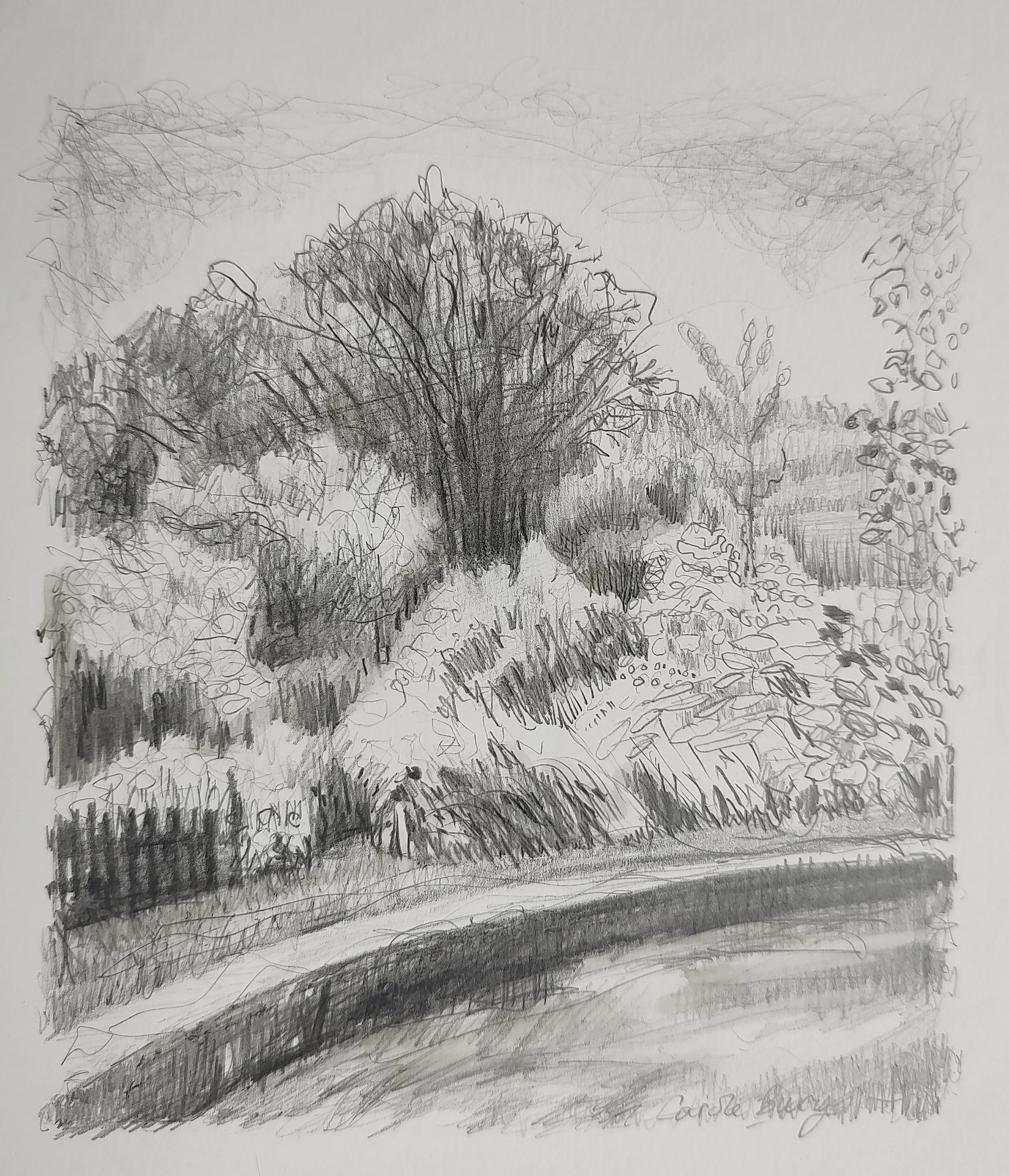 Carole-Bury_The-Fish-Pond.jpg