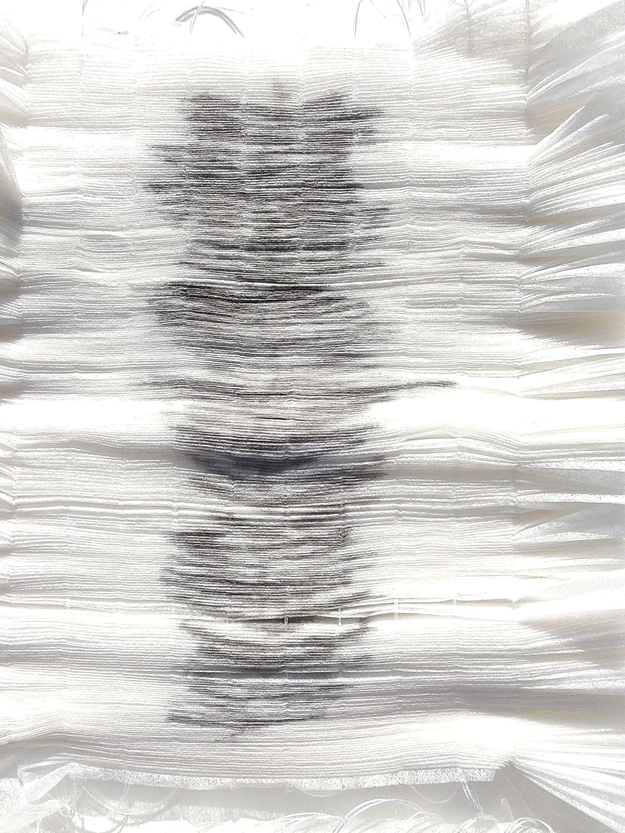Carole-Bury_Fragility_detail 1.jpg