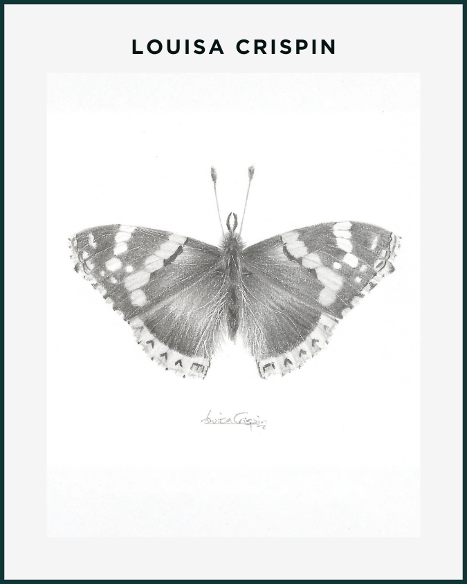 Louisa Crispin