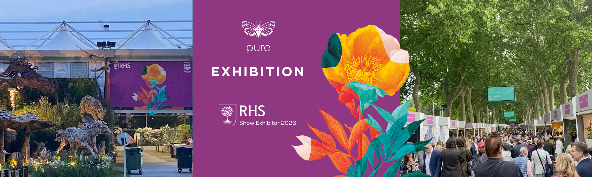 RHS Chelsea Pure Fine Art Exhibition Shop — Pure Arts Group