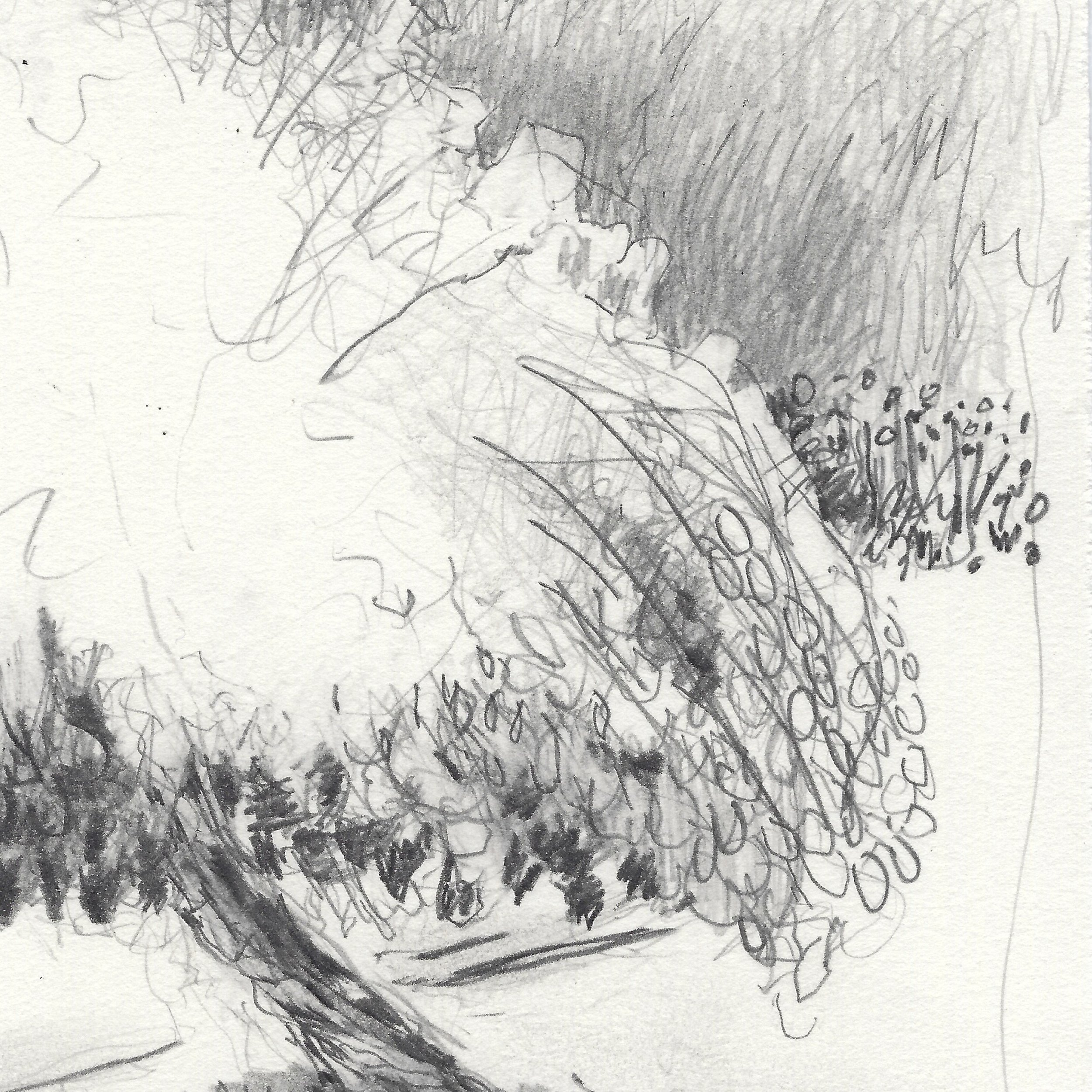 Carole-Bury_the-mulberry-tree_detail 2.jpg