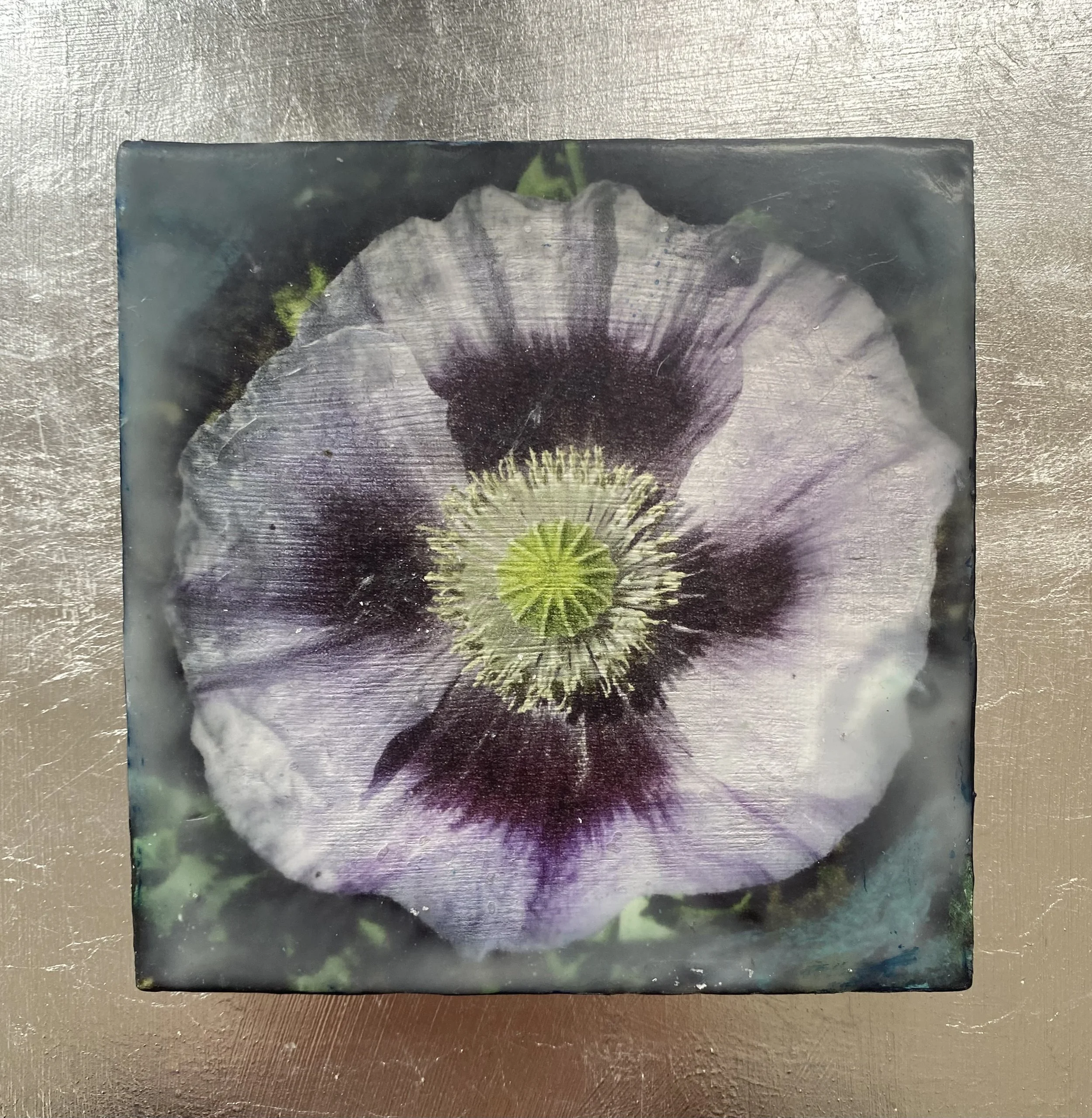 Kristina Alexander, Garden Jewels: Poppy I